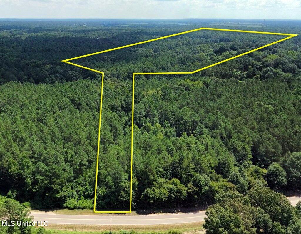 30.2 Acres Cathy Road, Byhalia, Mississippi image 1