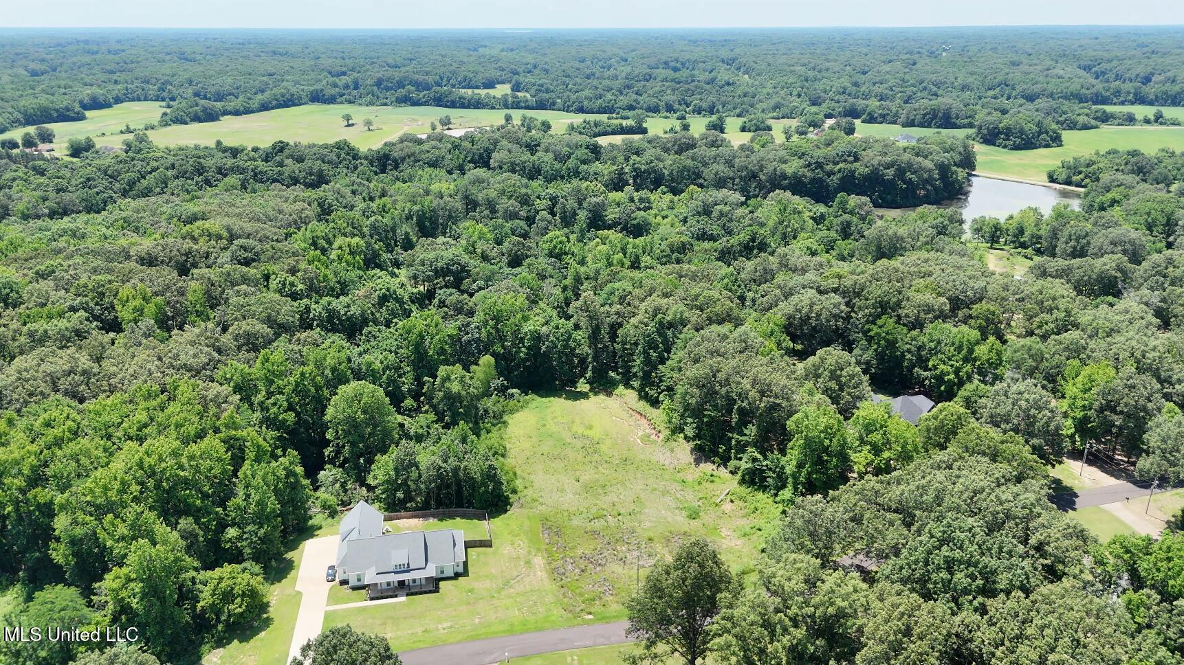 Michael Drive, Lake Cormorant, Mississippi image 8