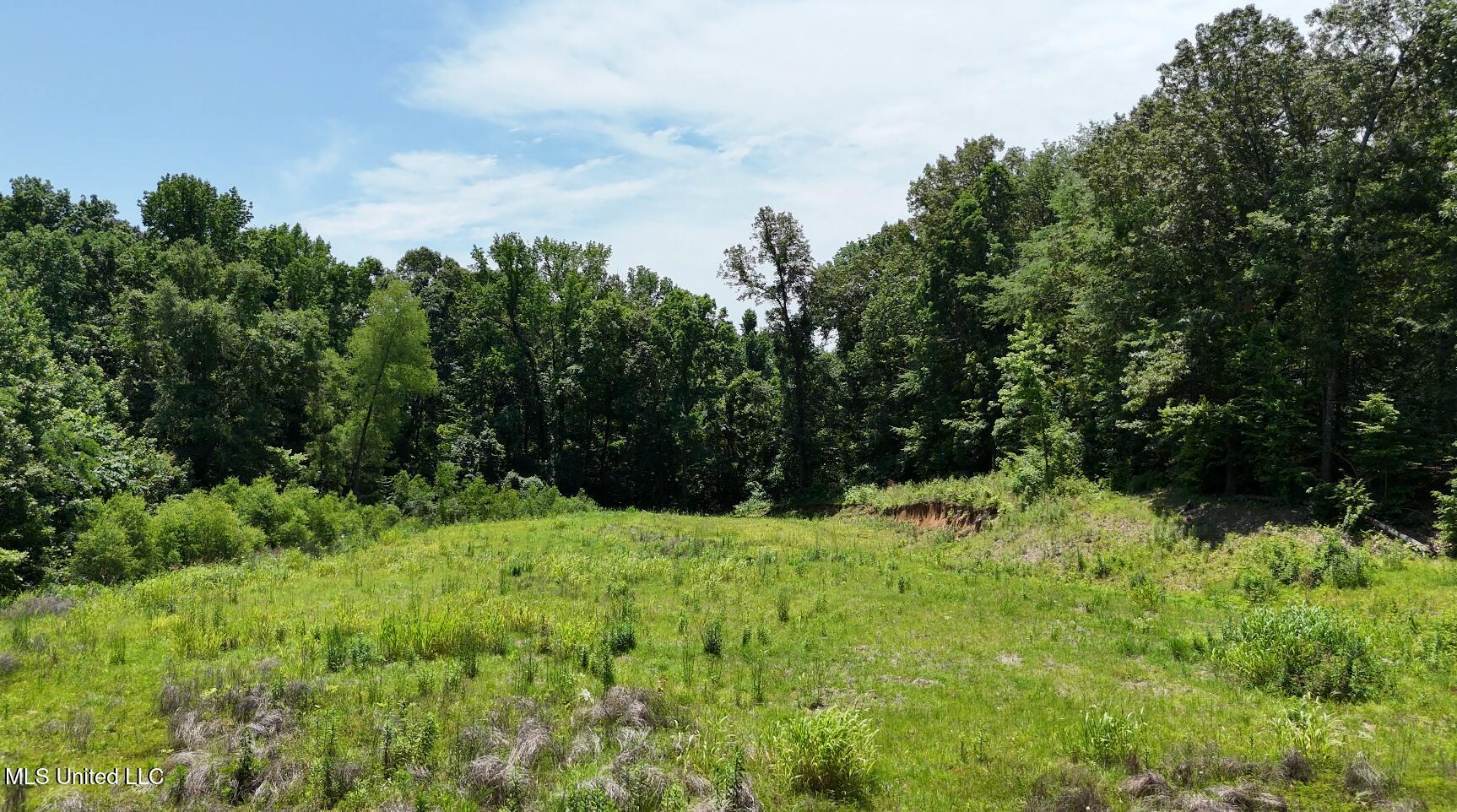Michael Drive, Lake Cormorant, Mississippi image 13