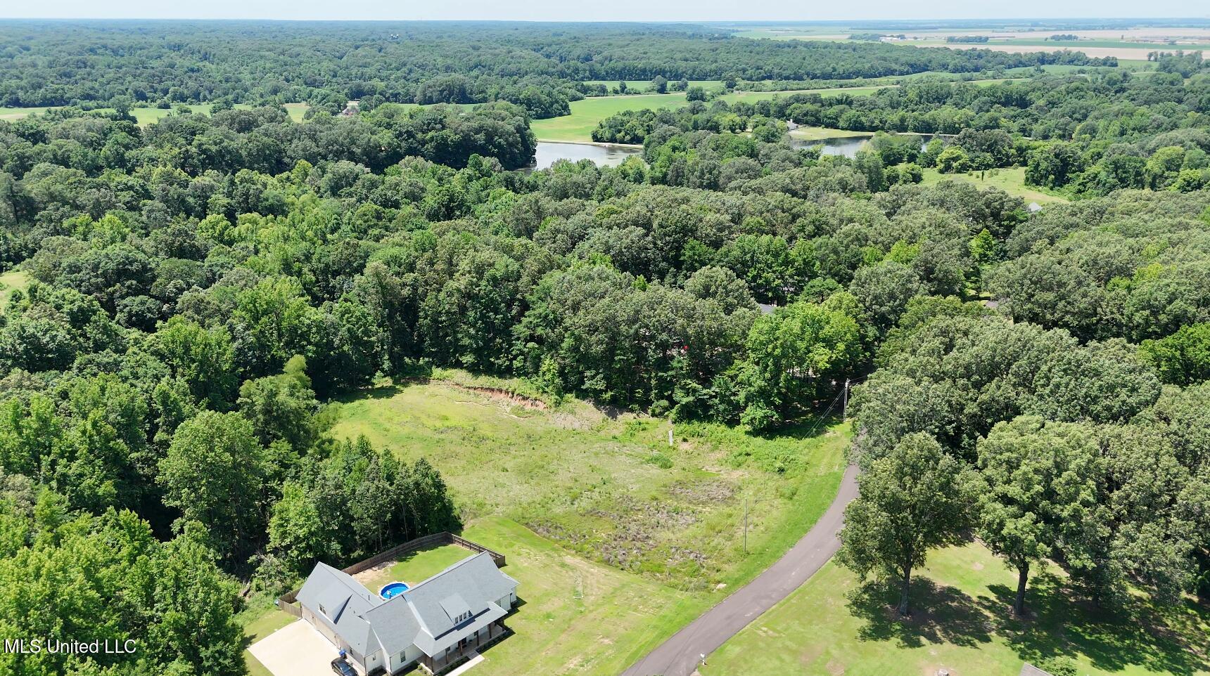 Michael Drive, Lake Cormorant, Mississippi image 9