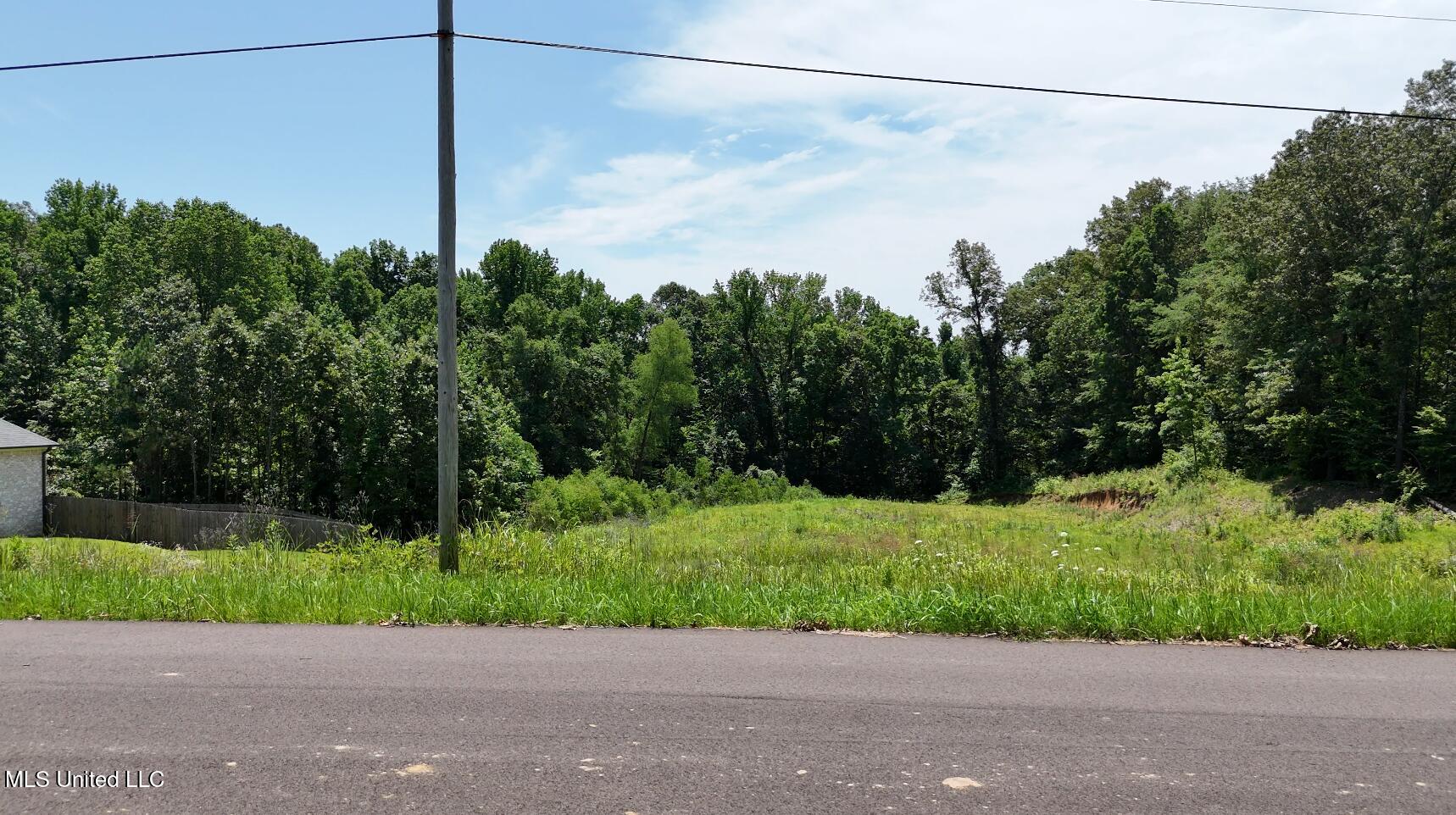 Michael Drive, Lake Cormorant, Mississippi image 11