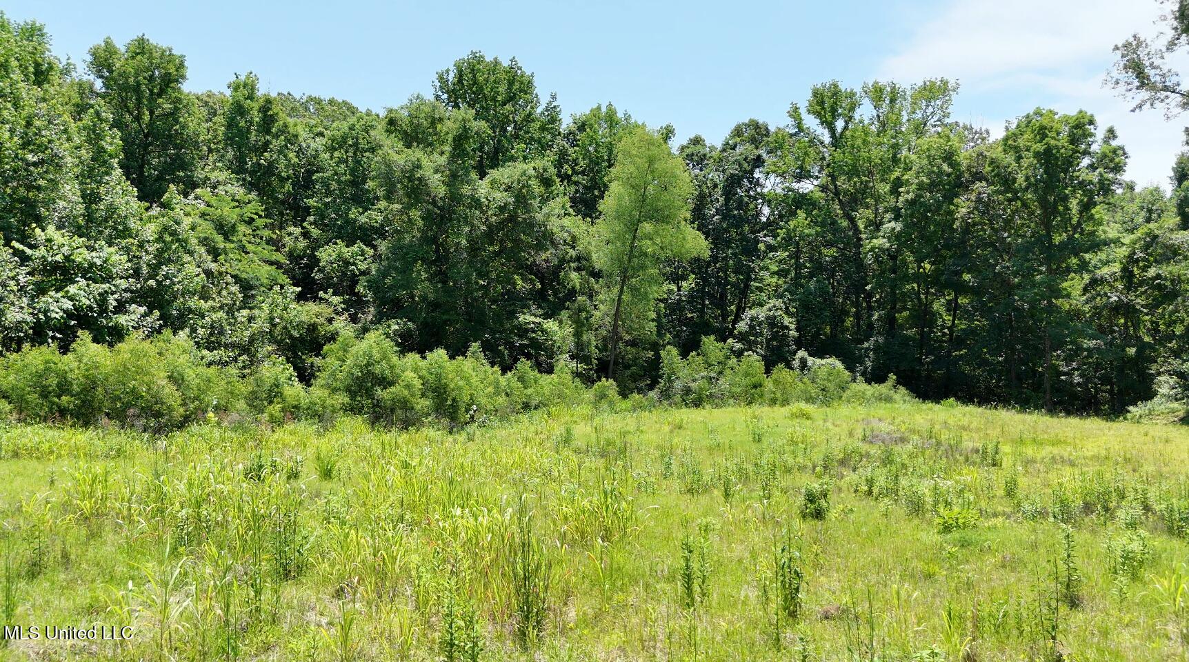 Michael Drive, Lake Cormorant, Mississippi image 3