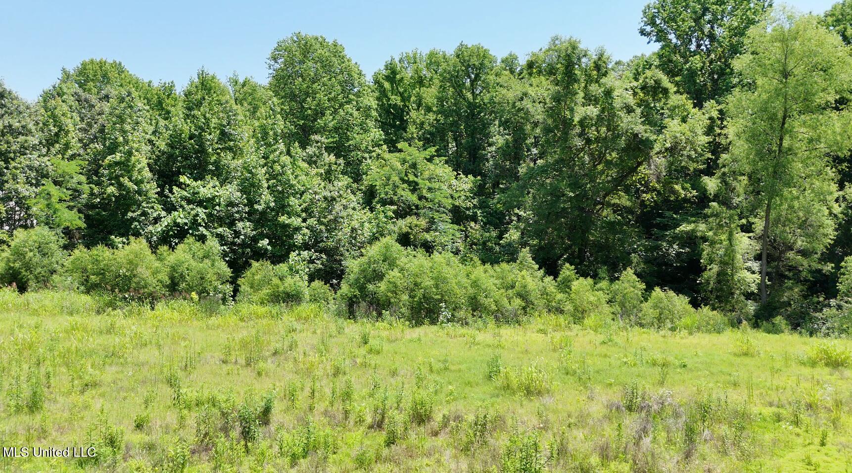 Michael Drive, Lake Cormorant, Mississippi image 14