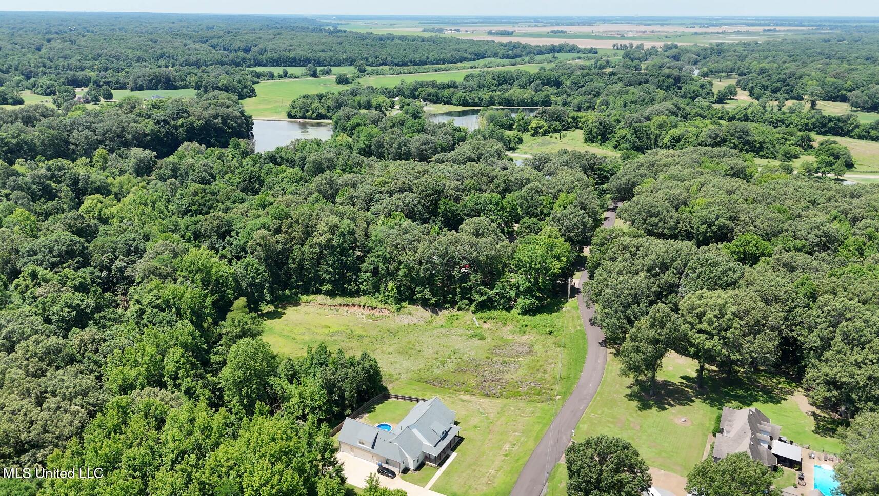 Michael Drive, Lake Cormorant, Mississippi image 7