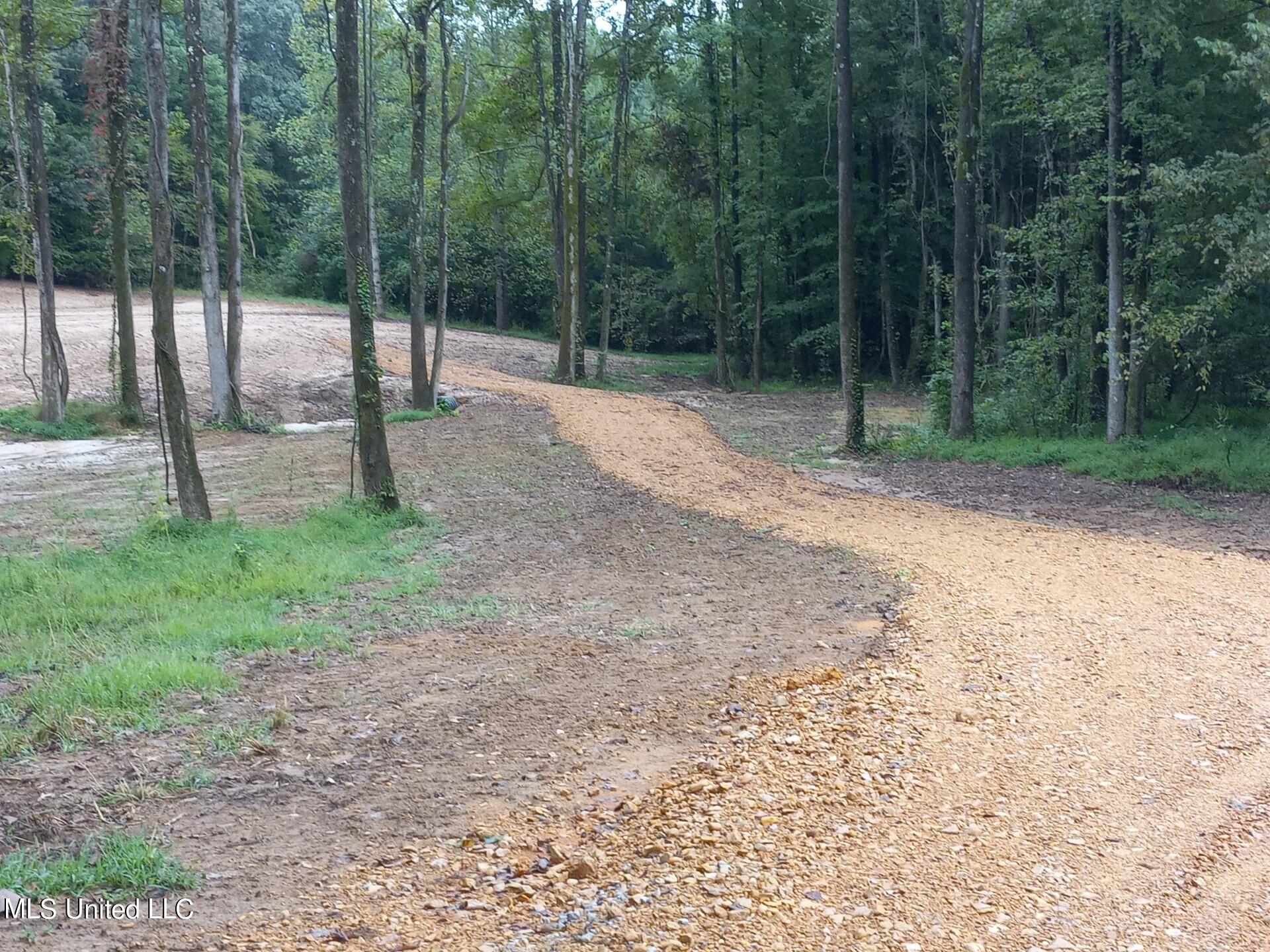 Austin Road, Lake Cormorant, Mississippi image 6