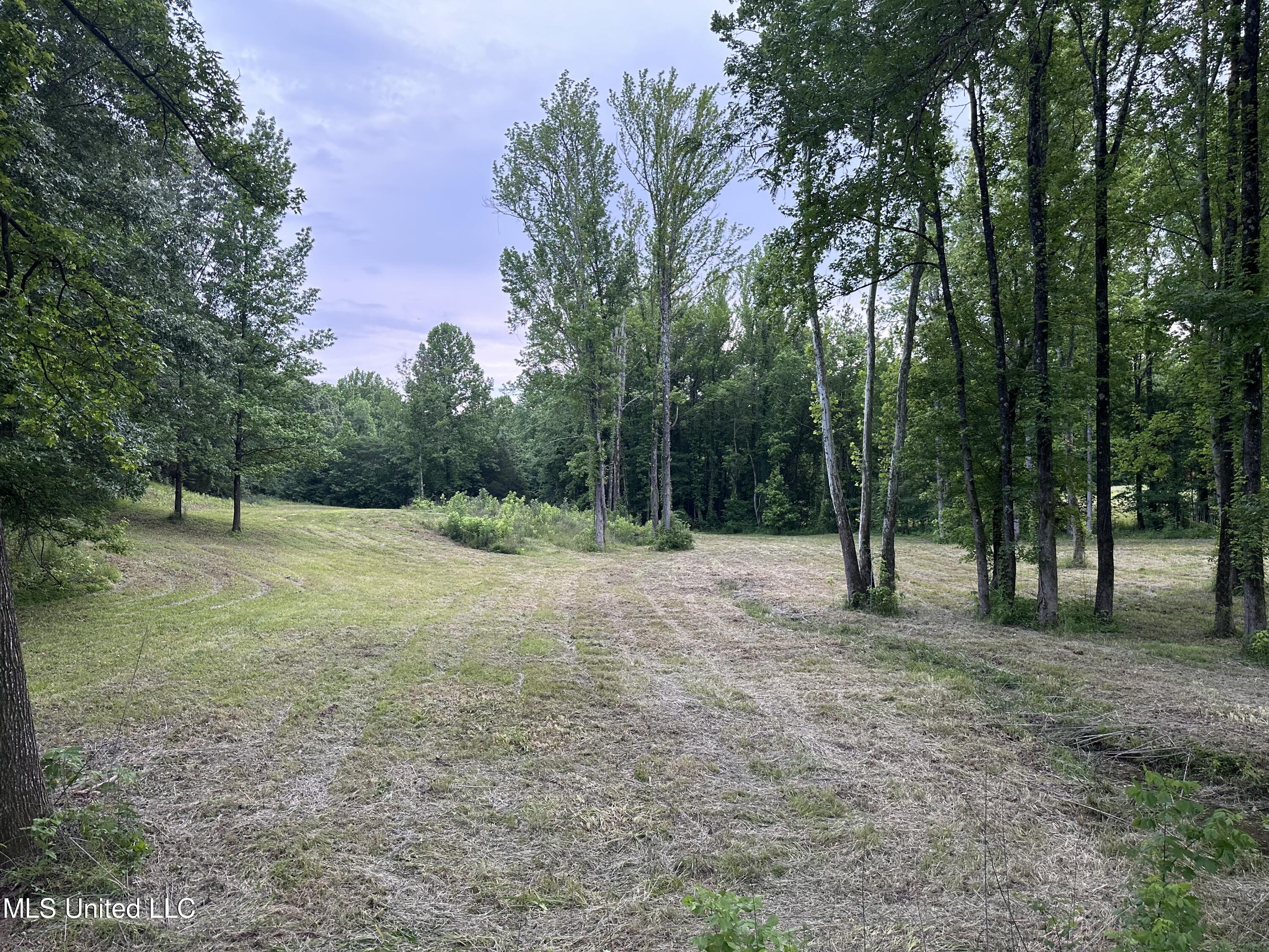 Austin Road, Lake Cormorant, Mississippi image 4