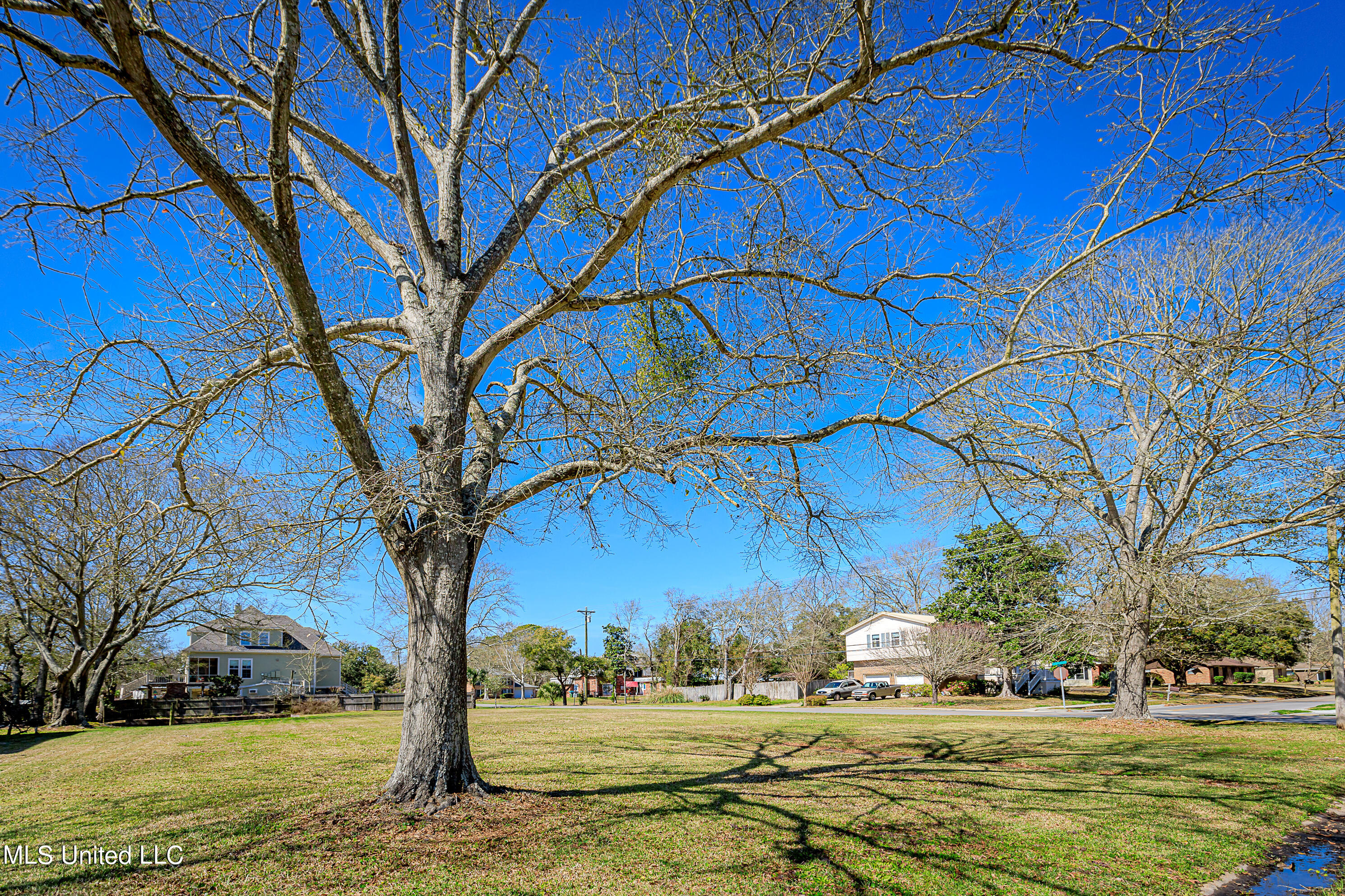 715 St Mary Street, Pascagoula, Mississippi image 6