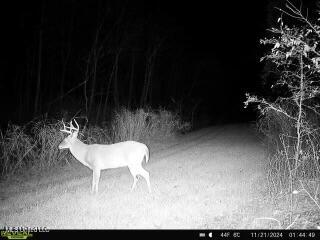 W Mound Bayou Road, Mound Bayou, Mississippi image 50