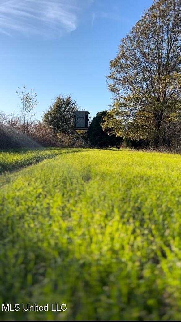 W Mound Bayou Road, Mound Bayou, Mississippi image 27