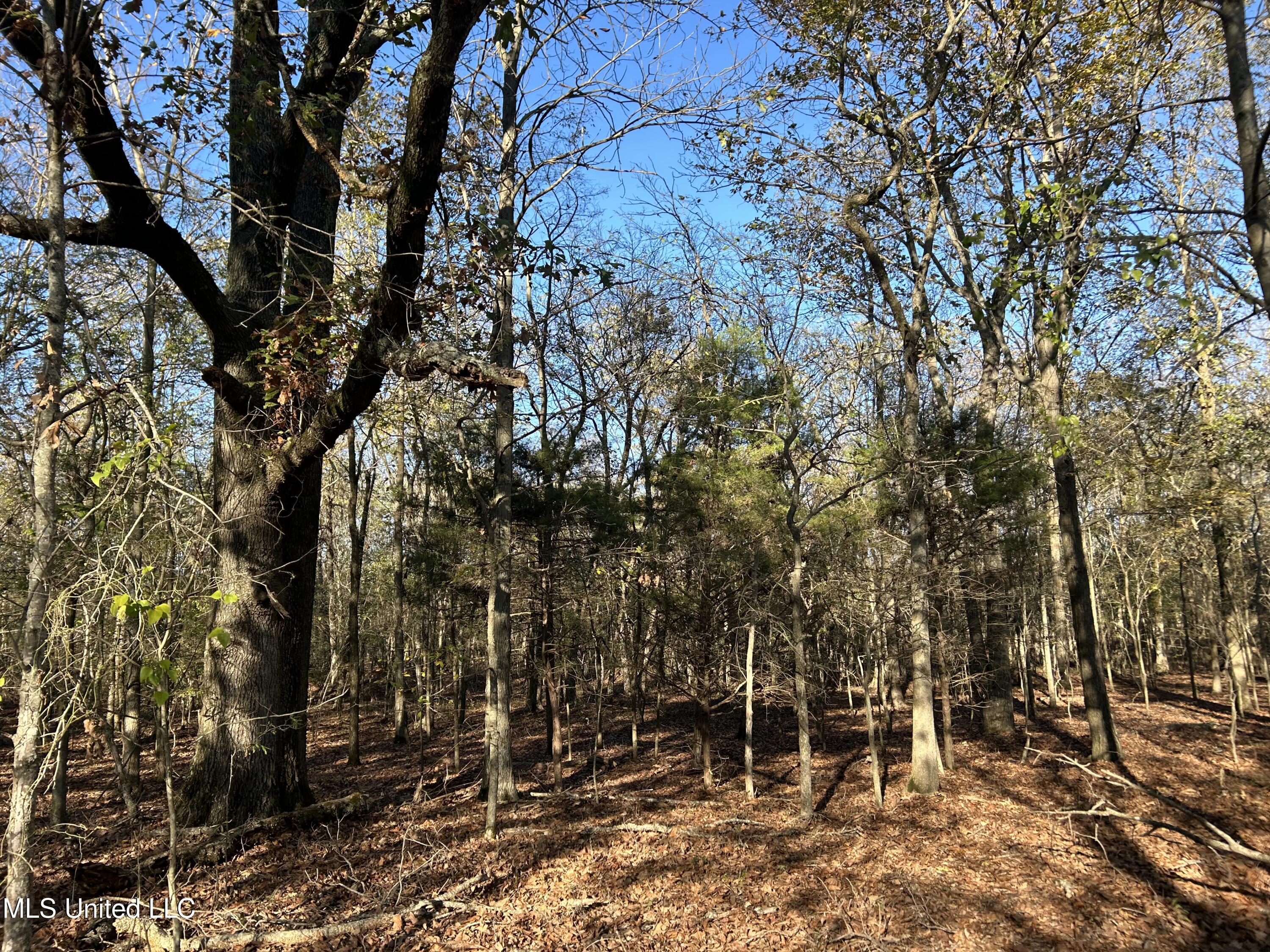 W Mound Bayou Road, Mound Bayou, Mississippi image 14