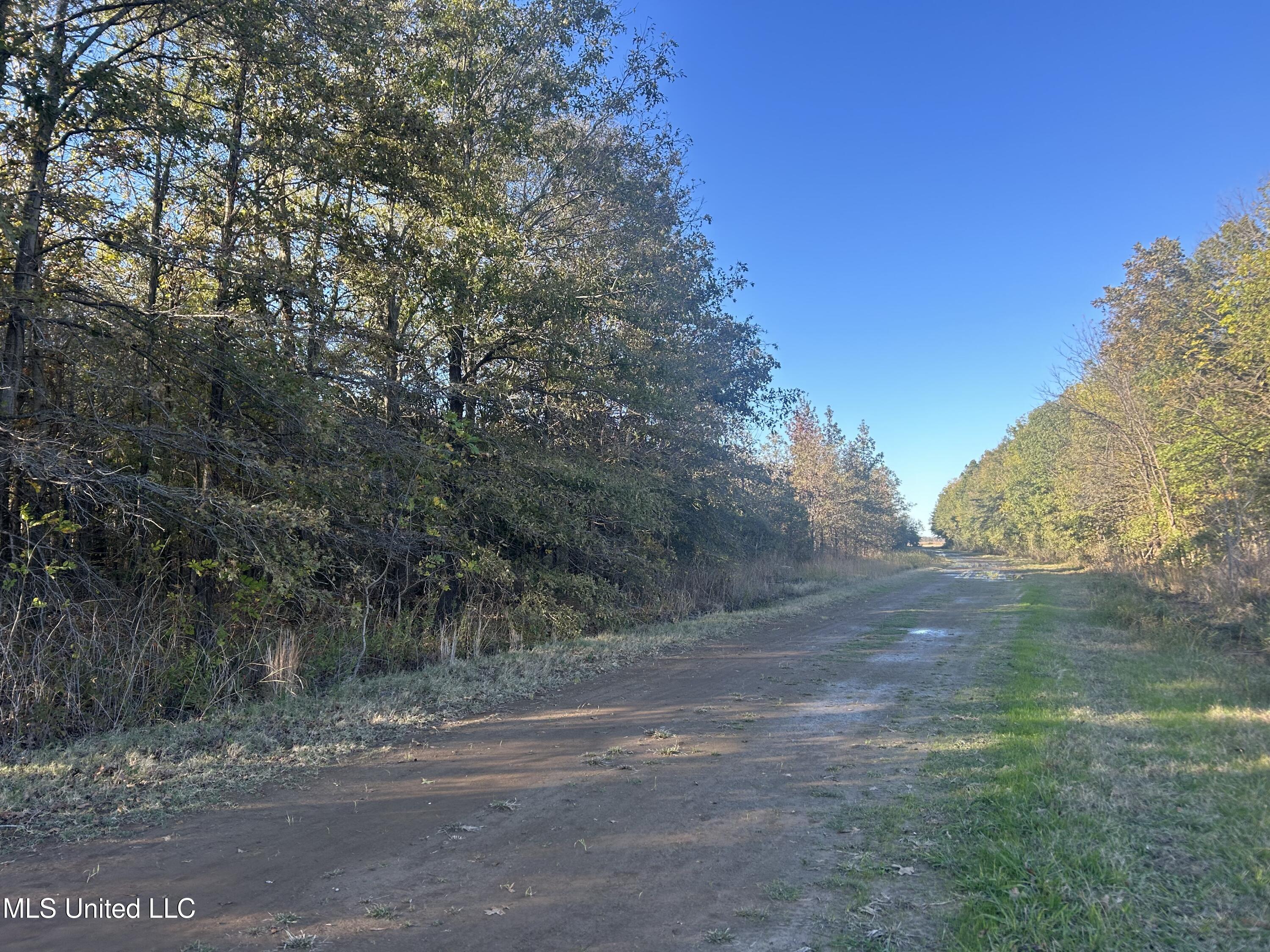 W Mound Bayou Road, Mound Bayou, Mississippi image 31