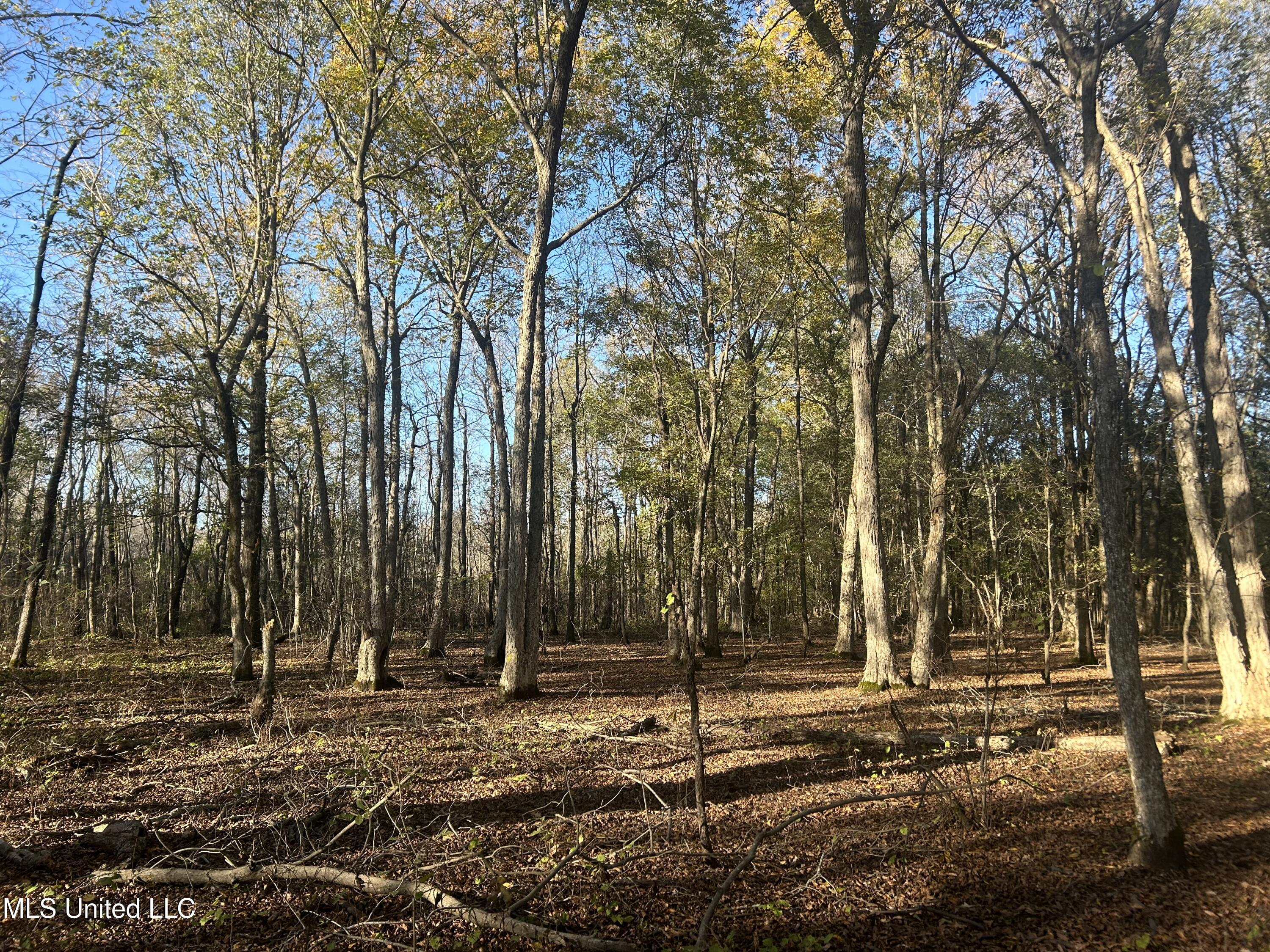 W Mound Bayou Road, Mound Bayou, Mississippi image 12