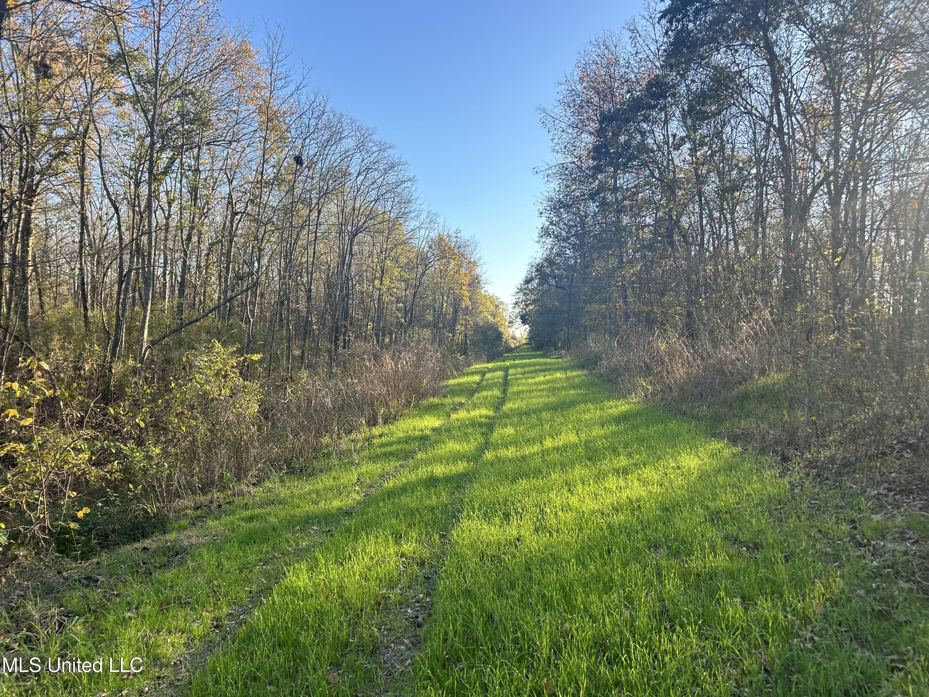 W Mound Bayou Road, Mound Bayou, Mississippi image 5