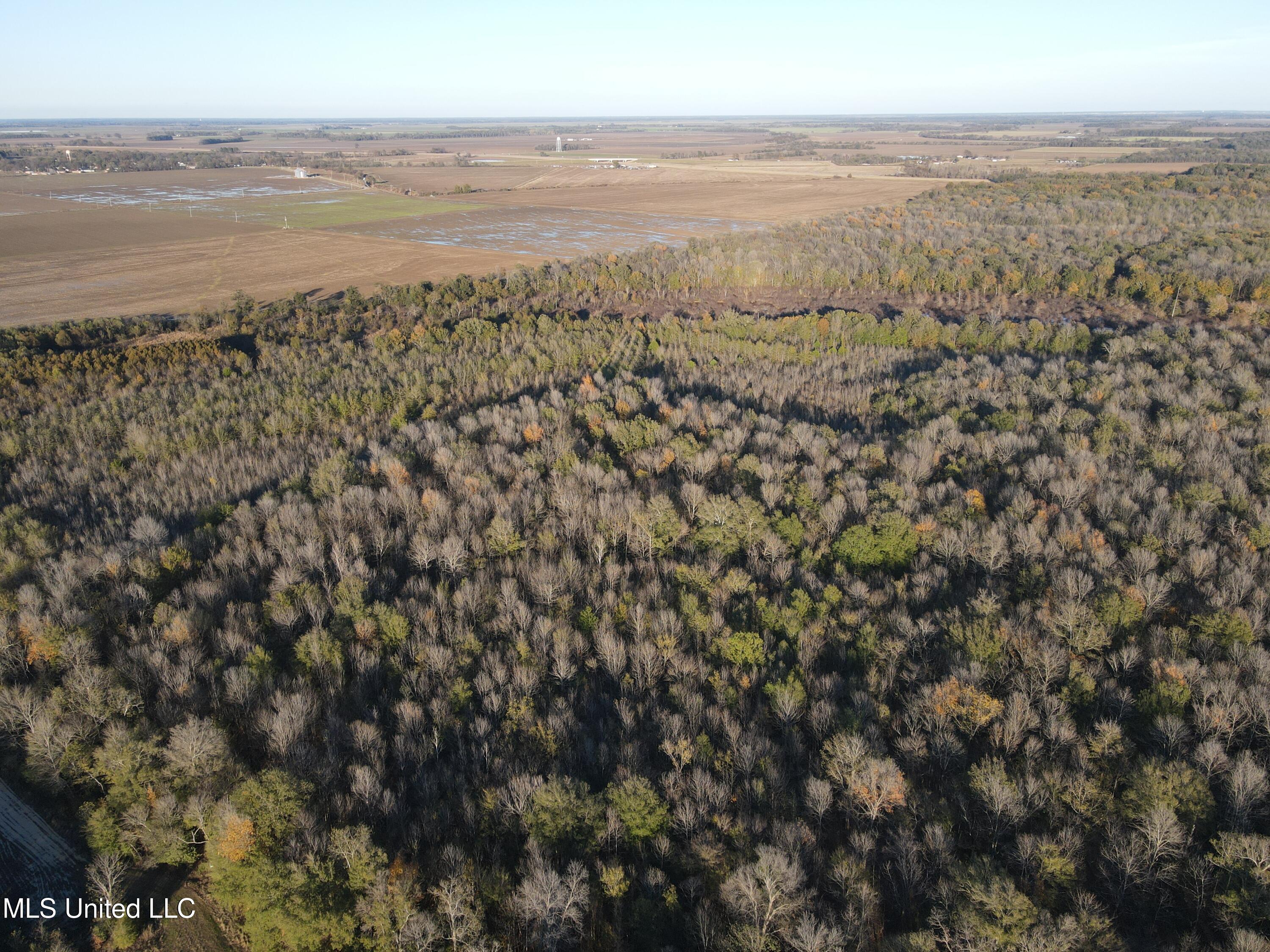 W Mound Bayou Road, Mound Bayou, Mississippi image 26