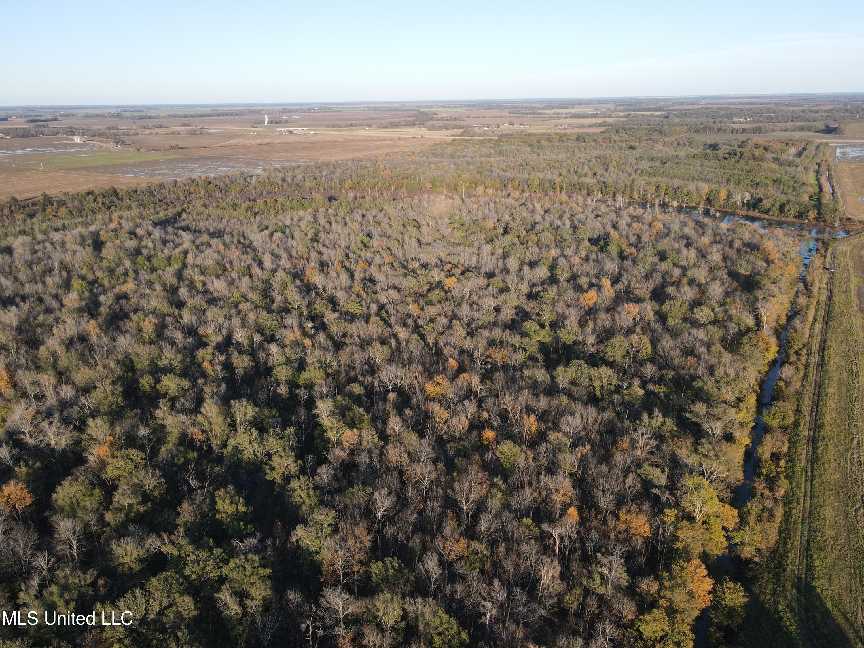 W Mound Bayou Road, Mound Bayou, Mississippi image 23