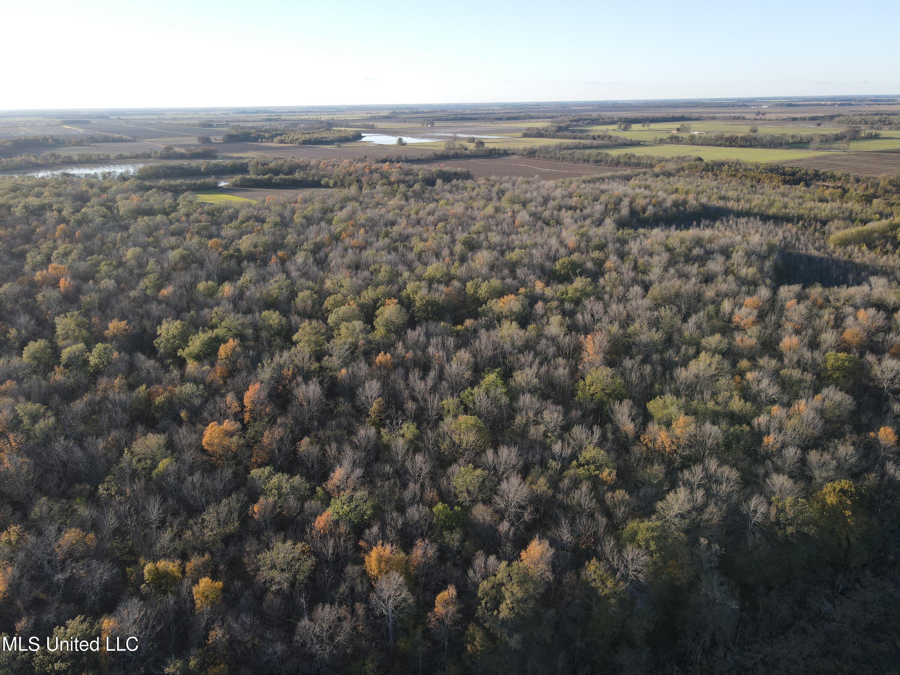 W Mound Bayou Road, Mound Bayou, Mississippi image 38