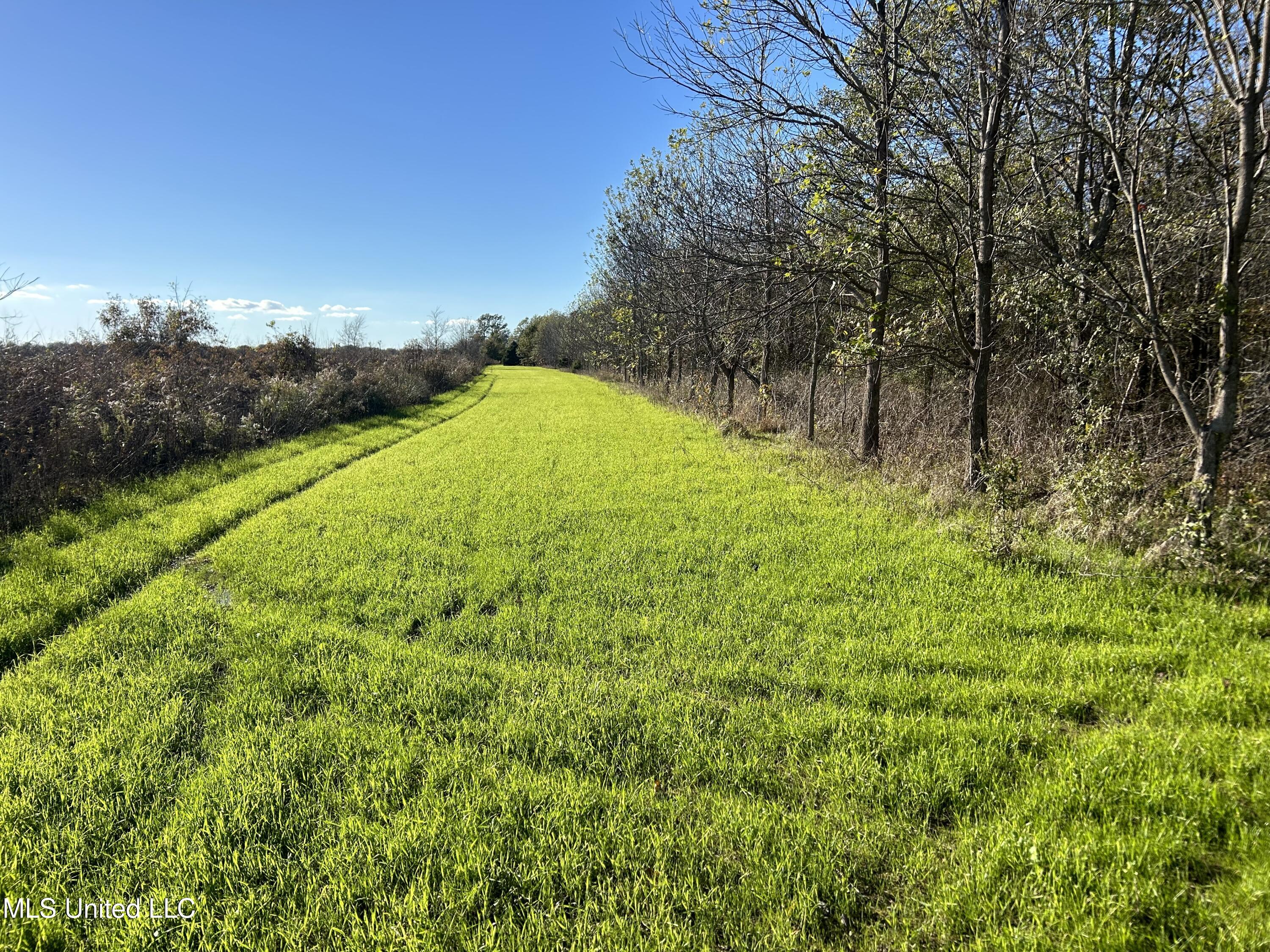 W Mound Bayou Road, Mound Bayou, Mississippi image 2