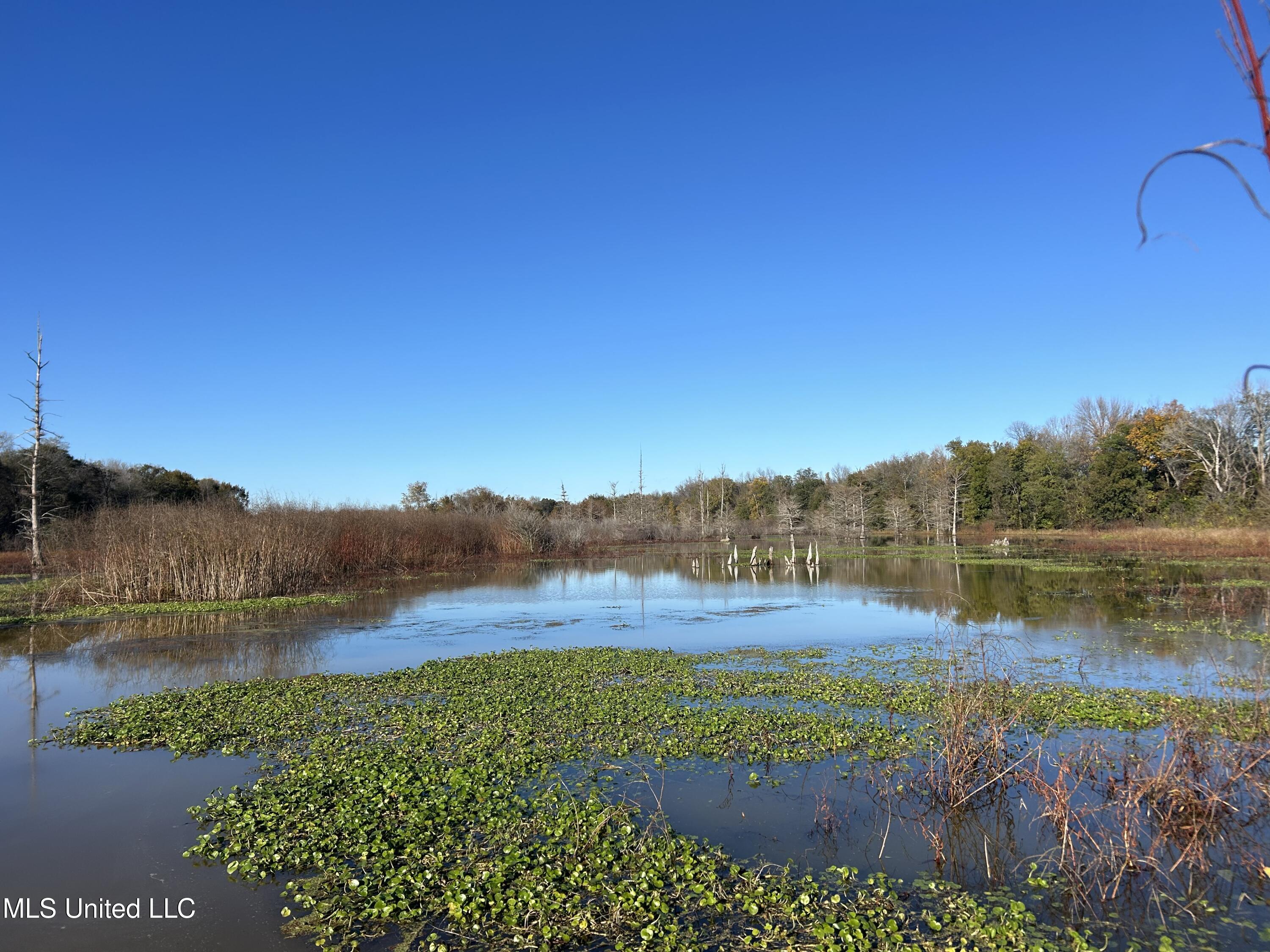 W Mound Bayou Road, Mound Bayou, Mississippi image 17