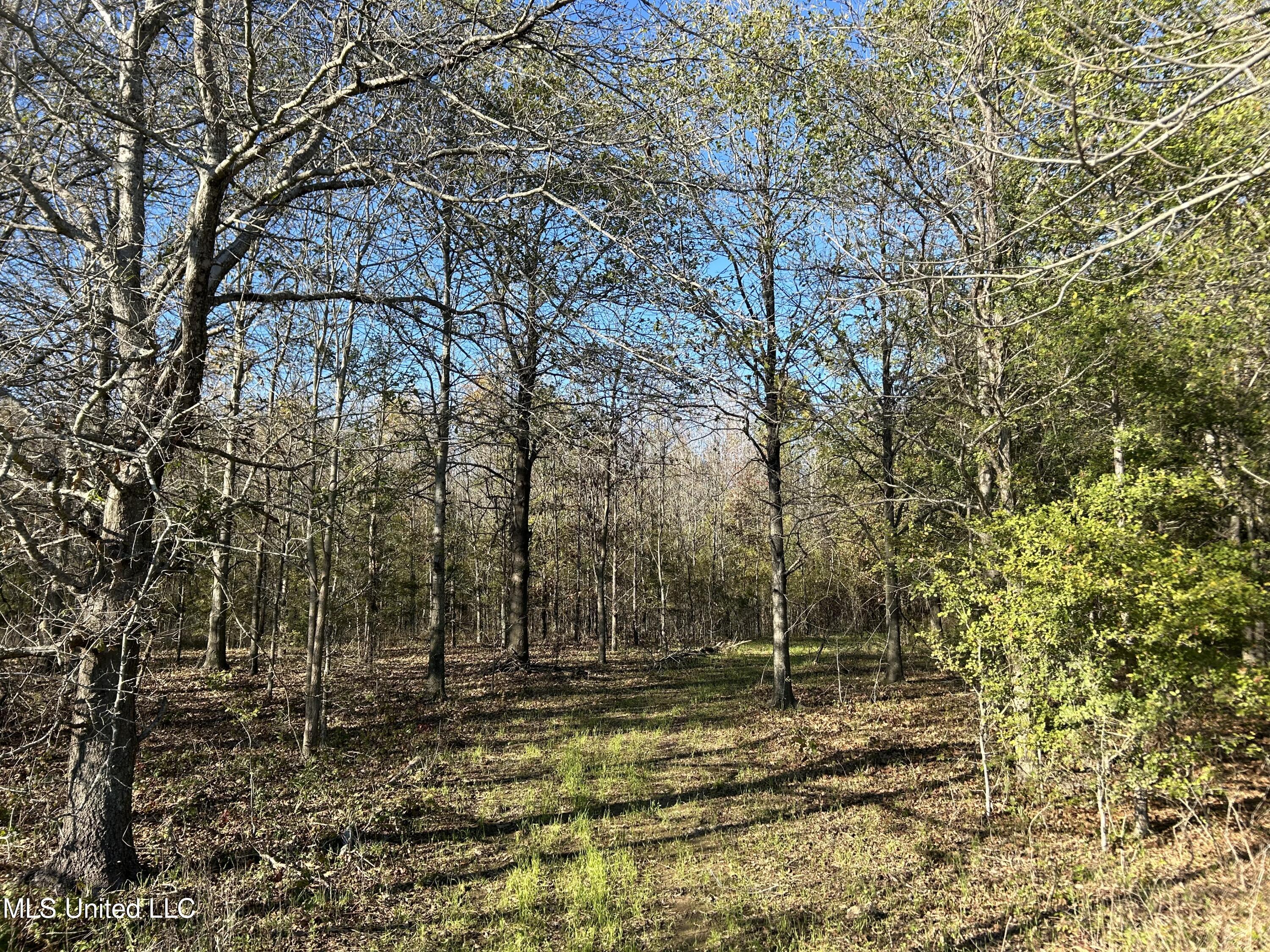 W Mound Bayou Road, Mound Bayou, Mississippi image 6