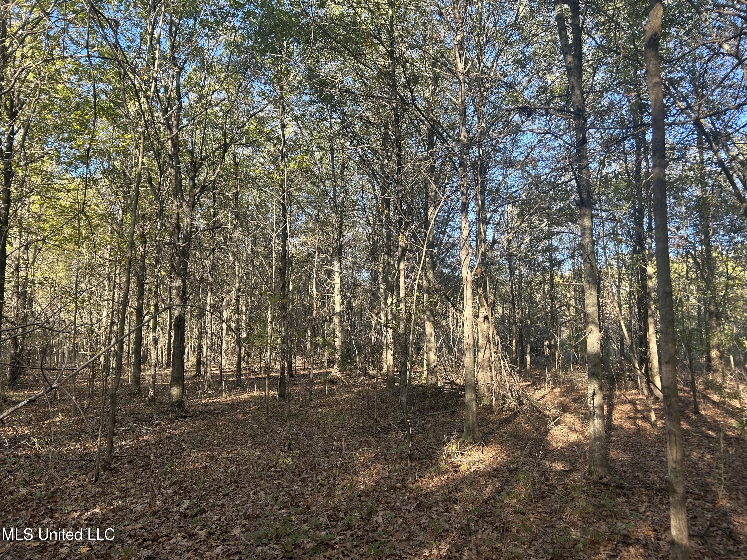 W Mound Bayou Road, Mound Bayou, Mississippi image 15