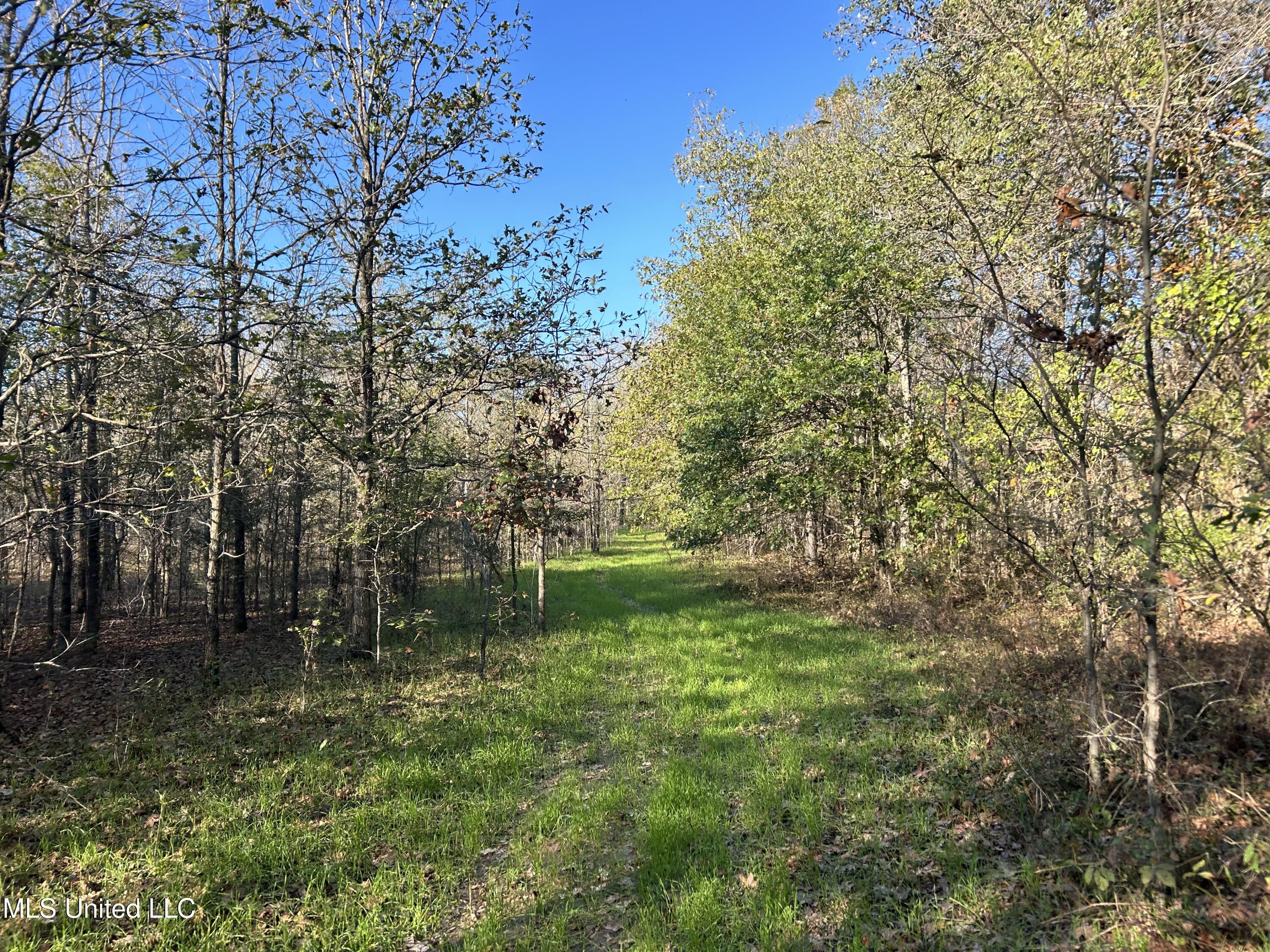 W Mound Bayou Road, Mound Bayou, Mississippi image 7