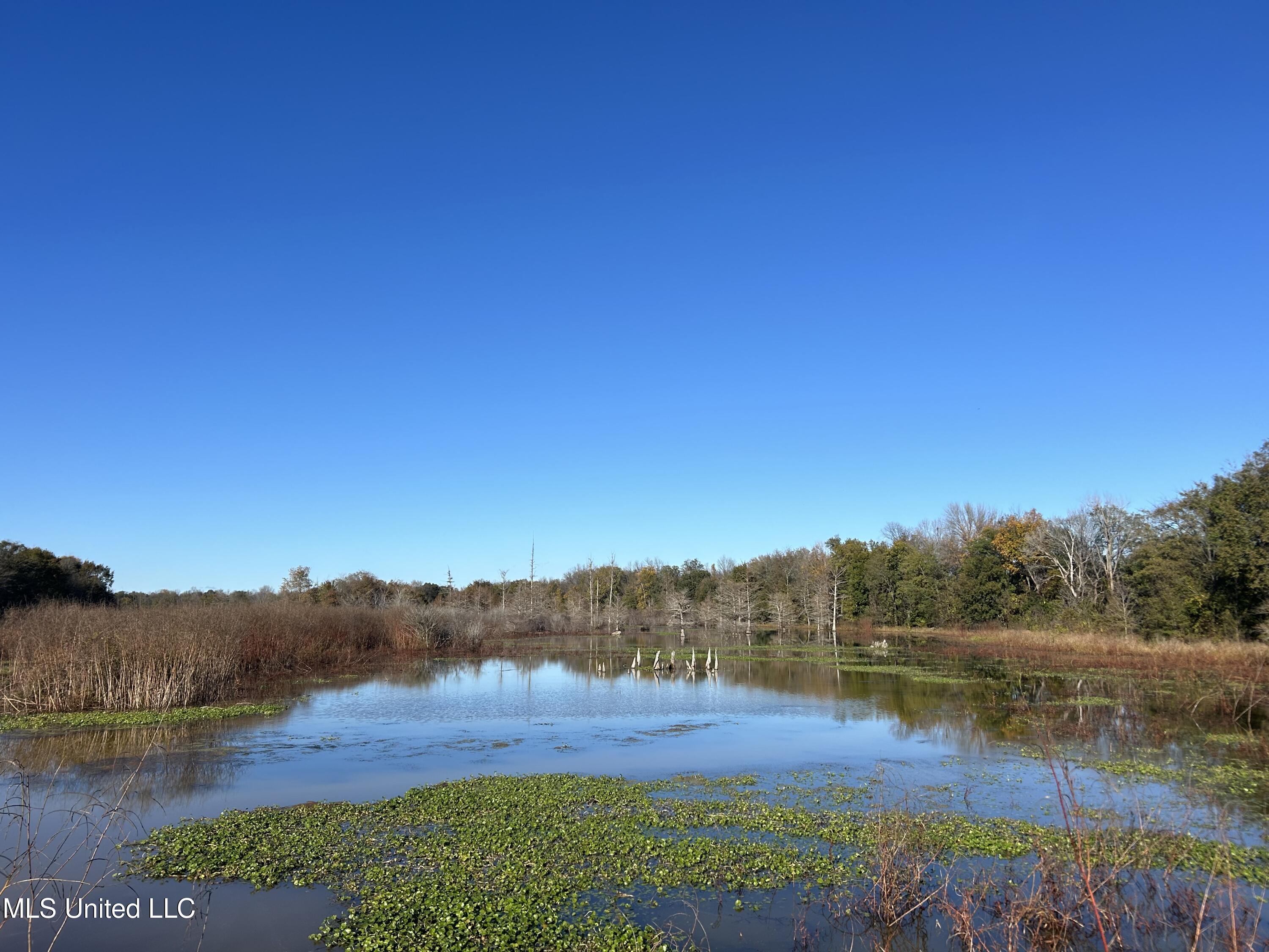 W Mound Bayou Road, Mound Bayou, Mississippi image 16