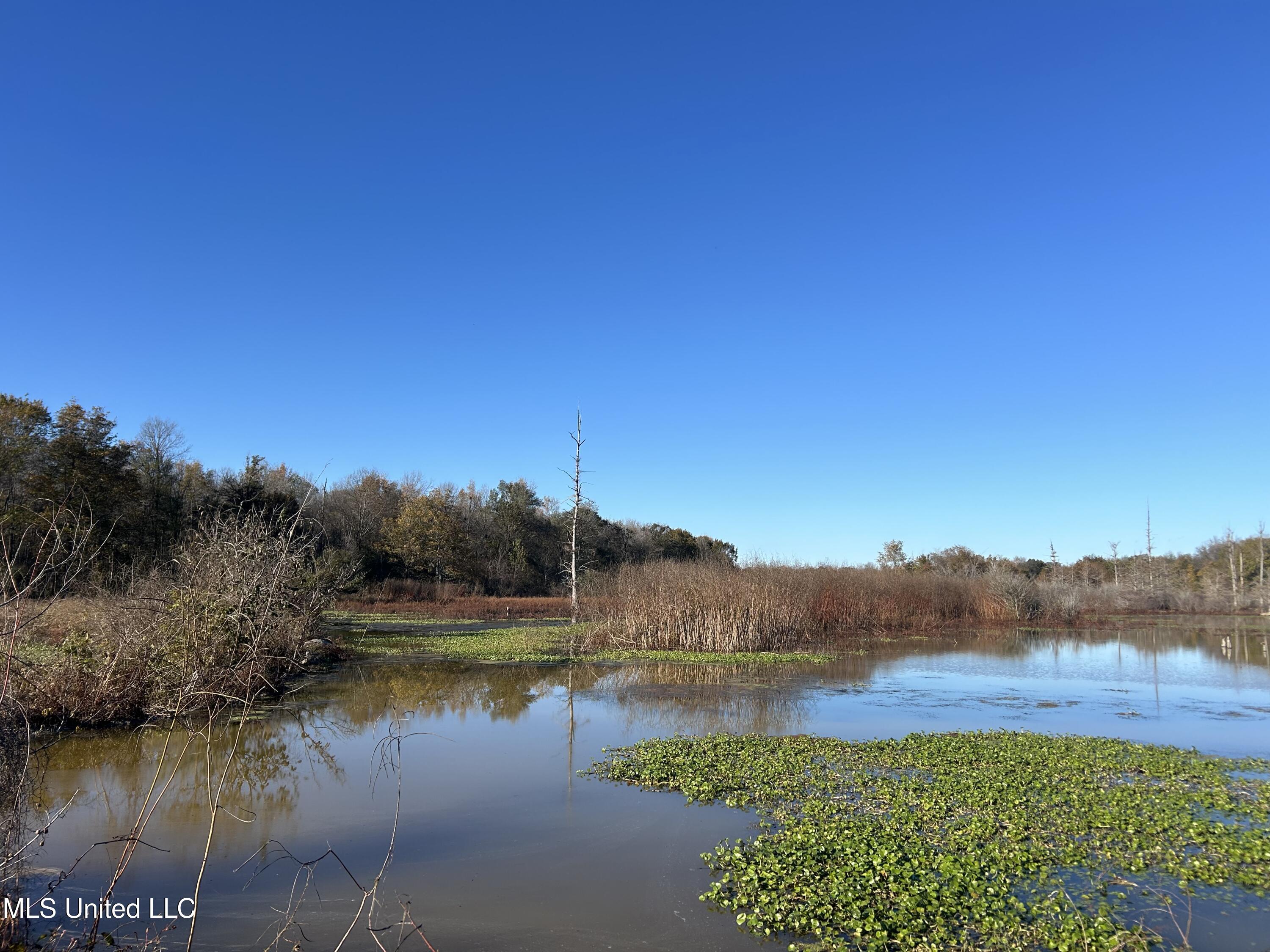 W Mound Bayou Road, Mound Bayou, Mississippi image 4