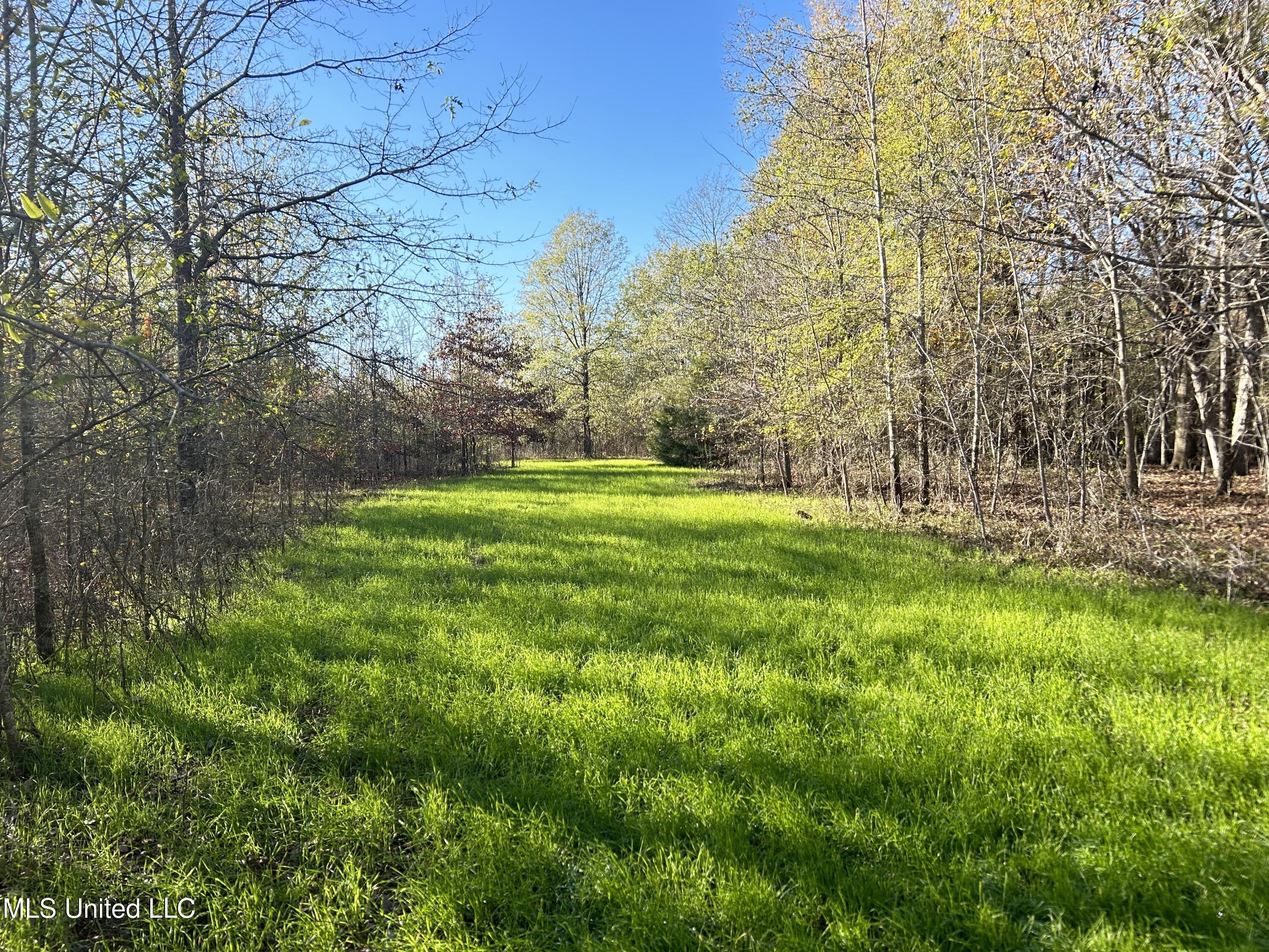 W Mound Bayou Road, Mound Bayou, Mississippi image 1