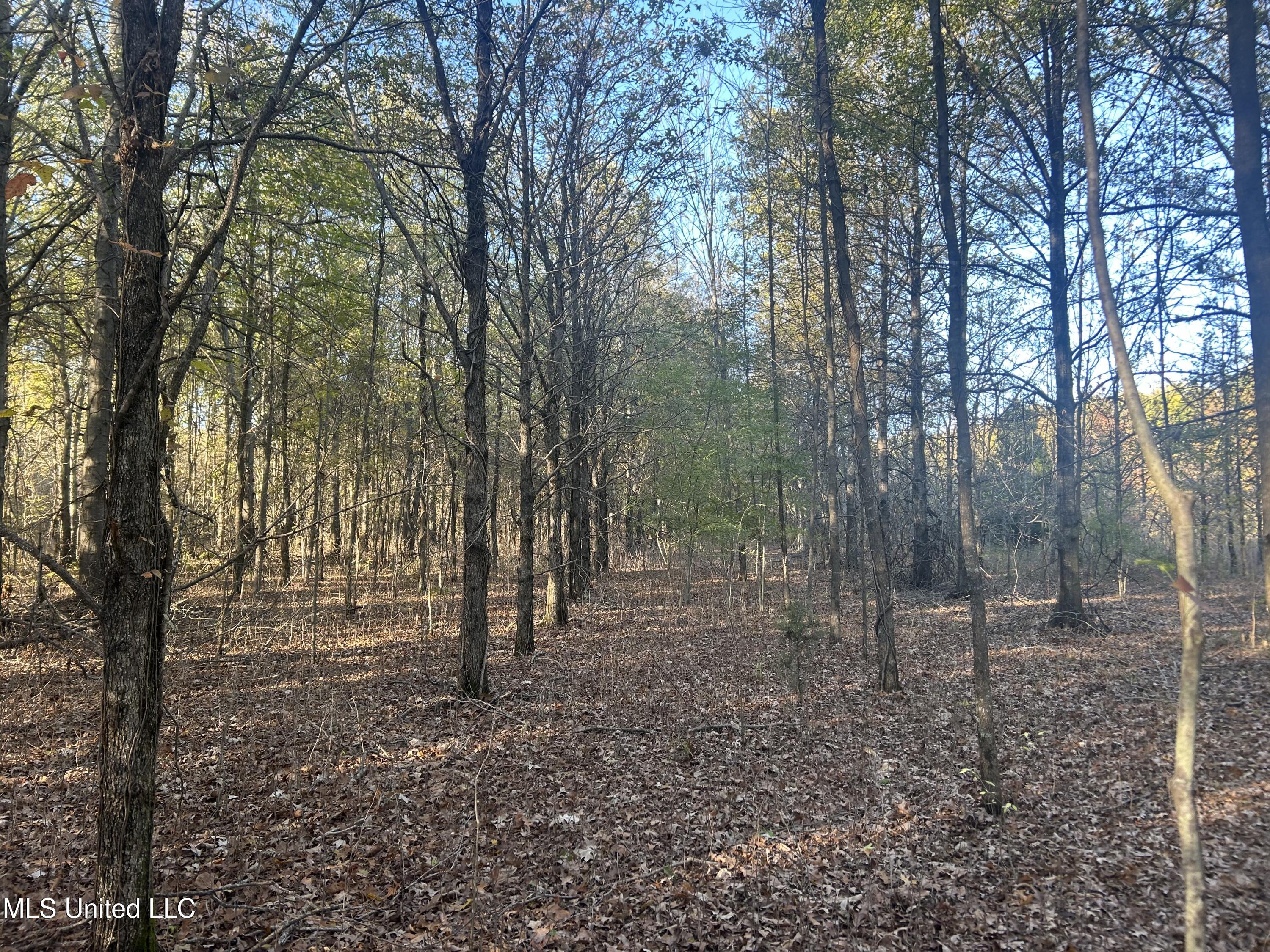 W Mound Bayou Road, Mound Bayou, Mississippi image 10