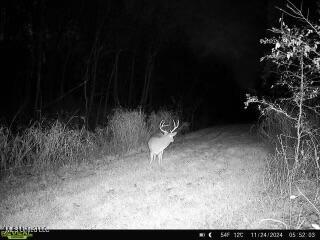 W Mound Bayou Road, Mound Bayou, Mississippi image 45