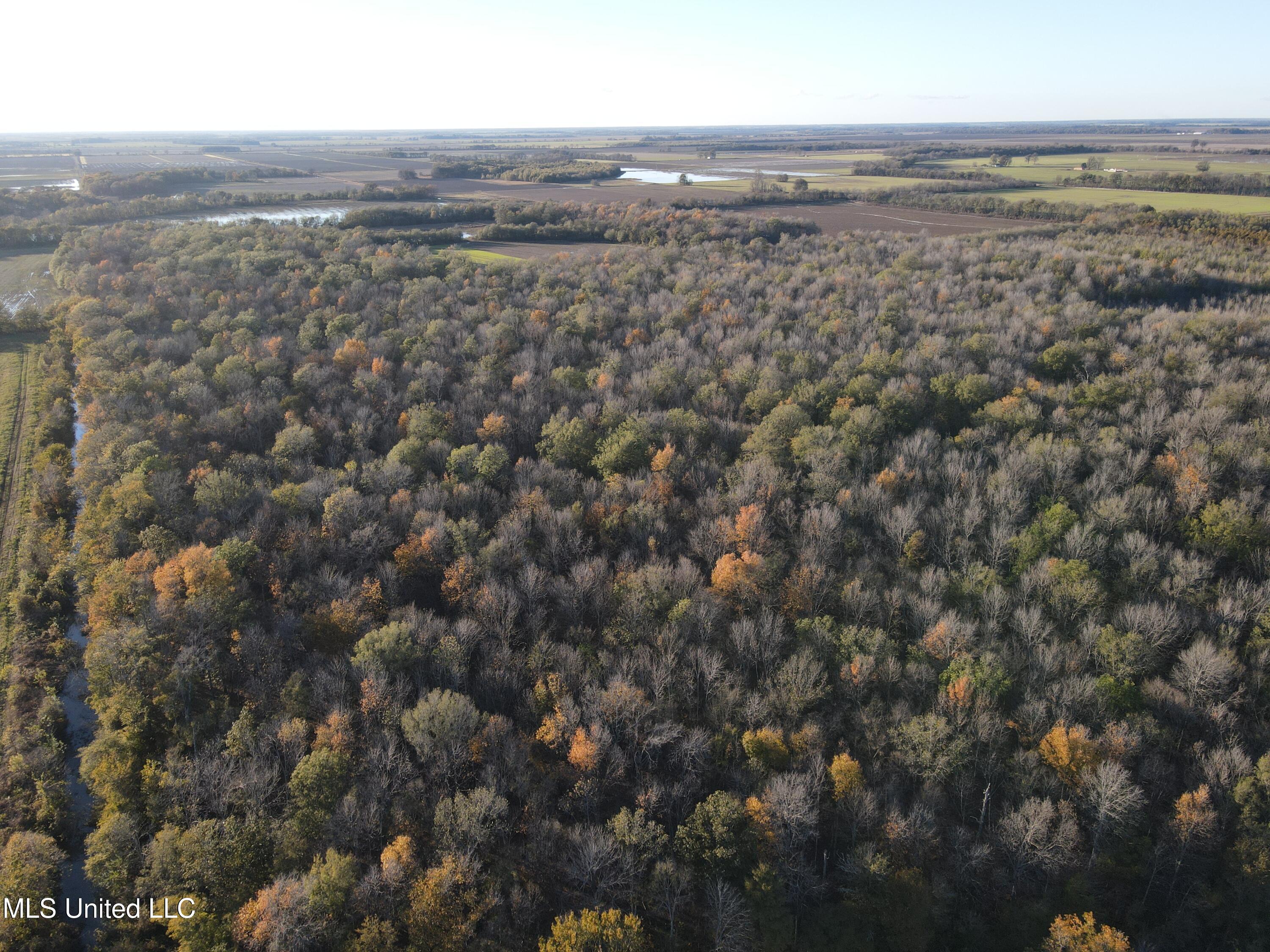 W Mound Bayou Road, Mound Bayou, Mississippi image 42