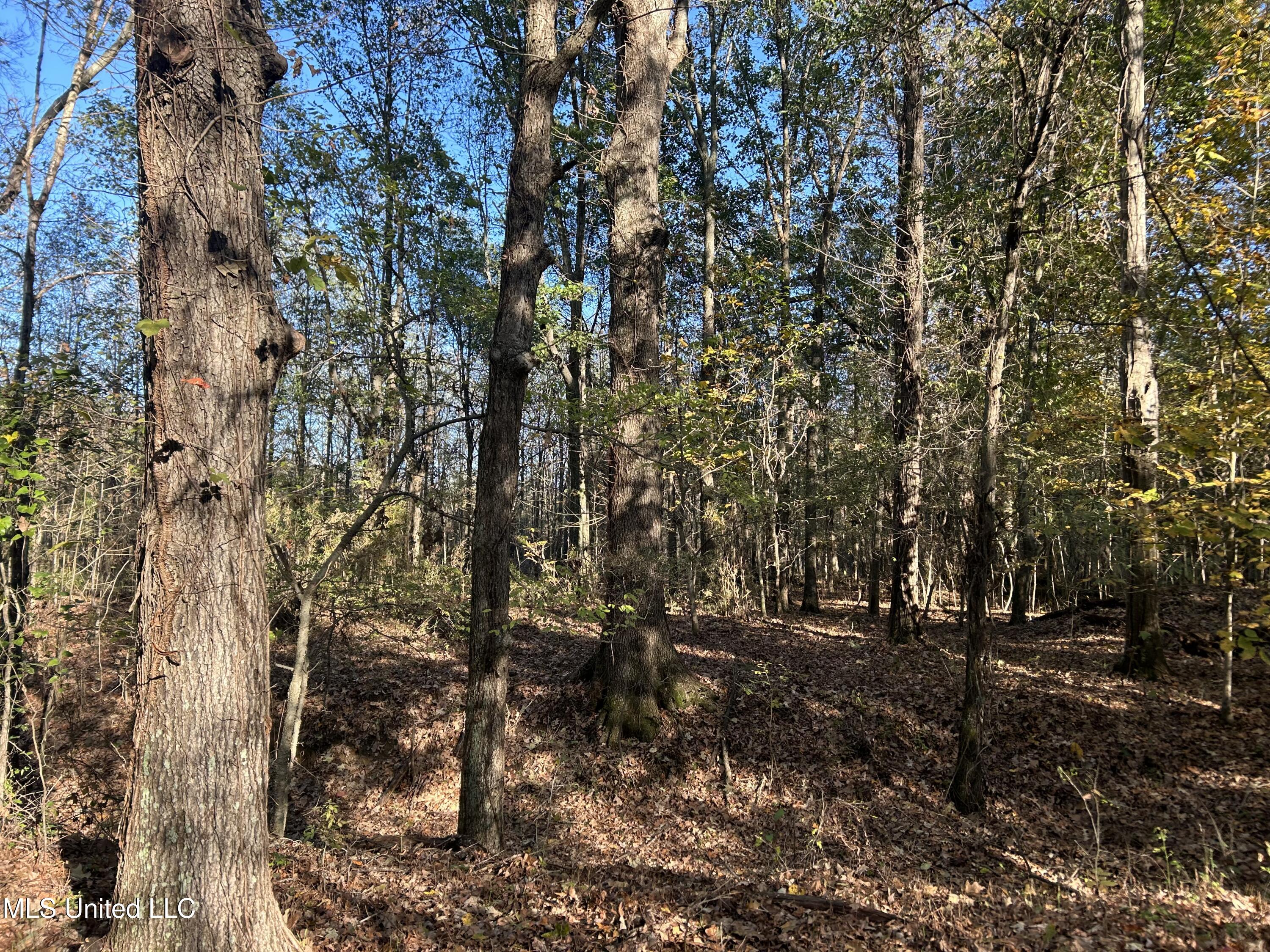 W Mound Bayou Road, Mound Bayou, Mississippi image 19