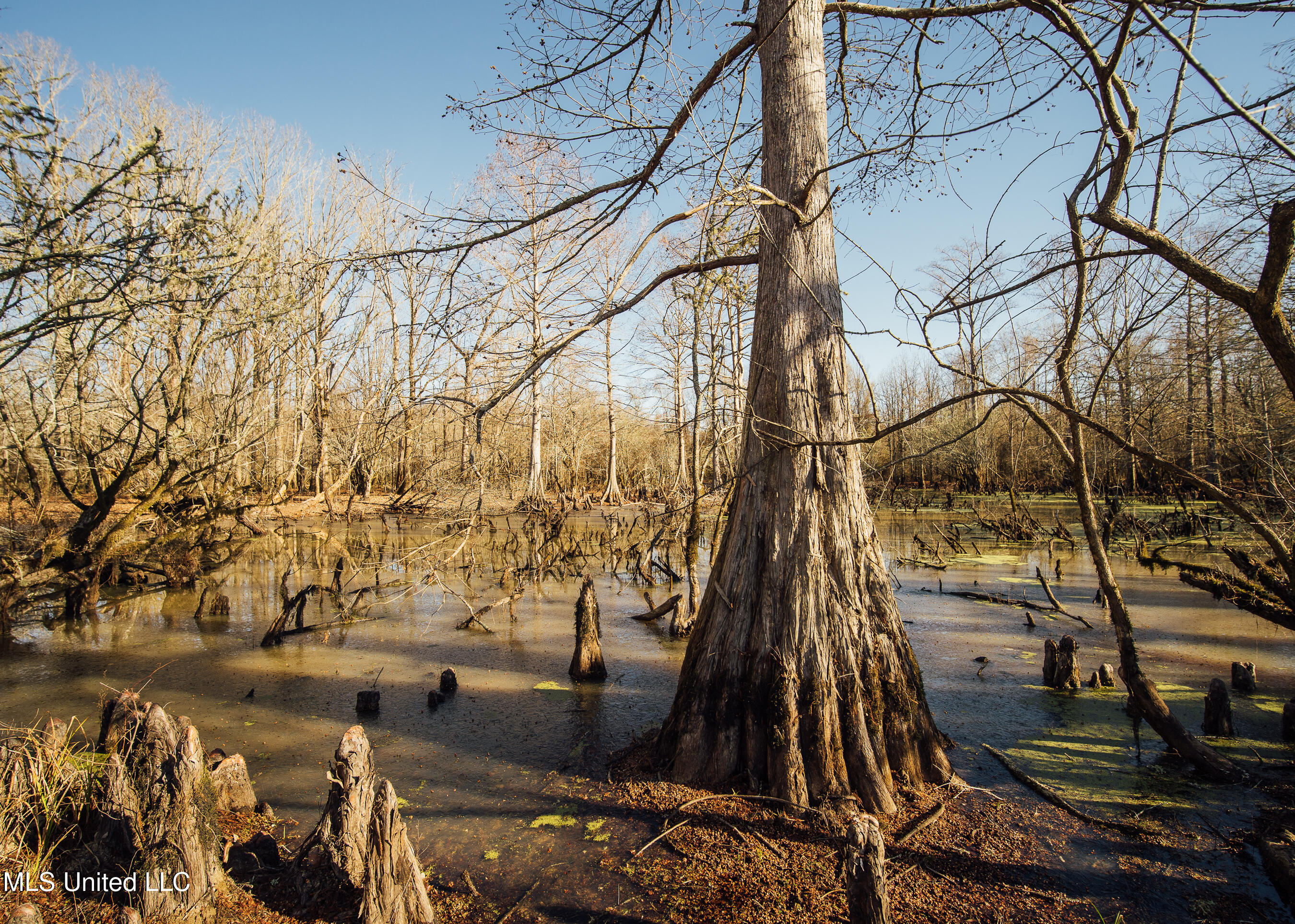 Co Rd 4101, Sallis, Mississippi image 38