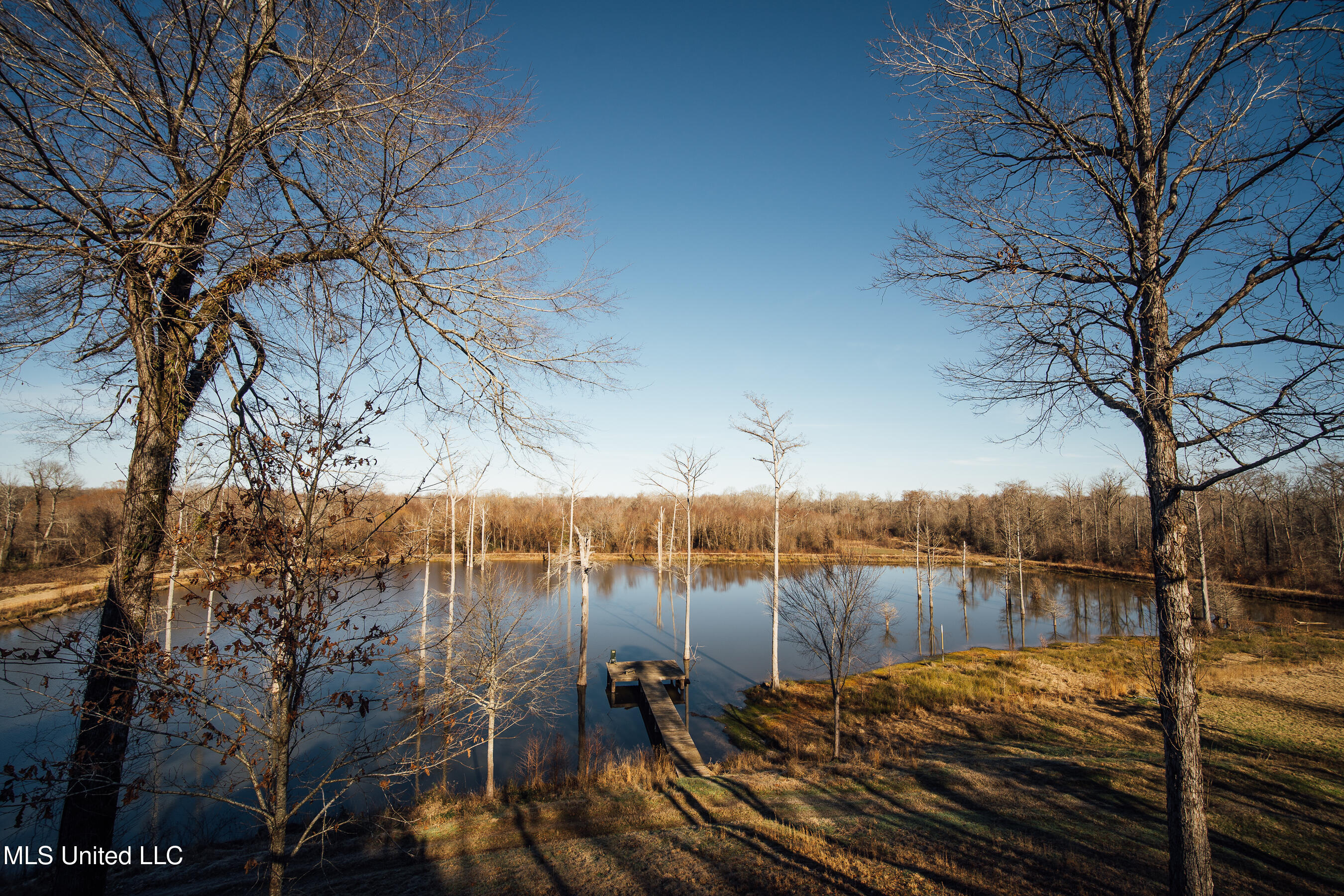 Co Rd 4101, Sallis, Mississippi image 34