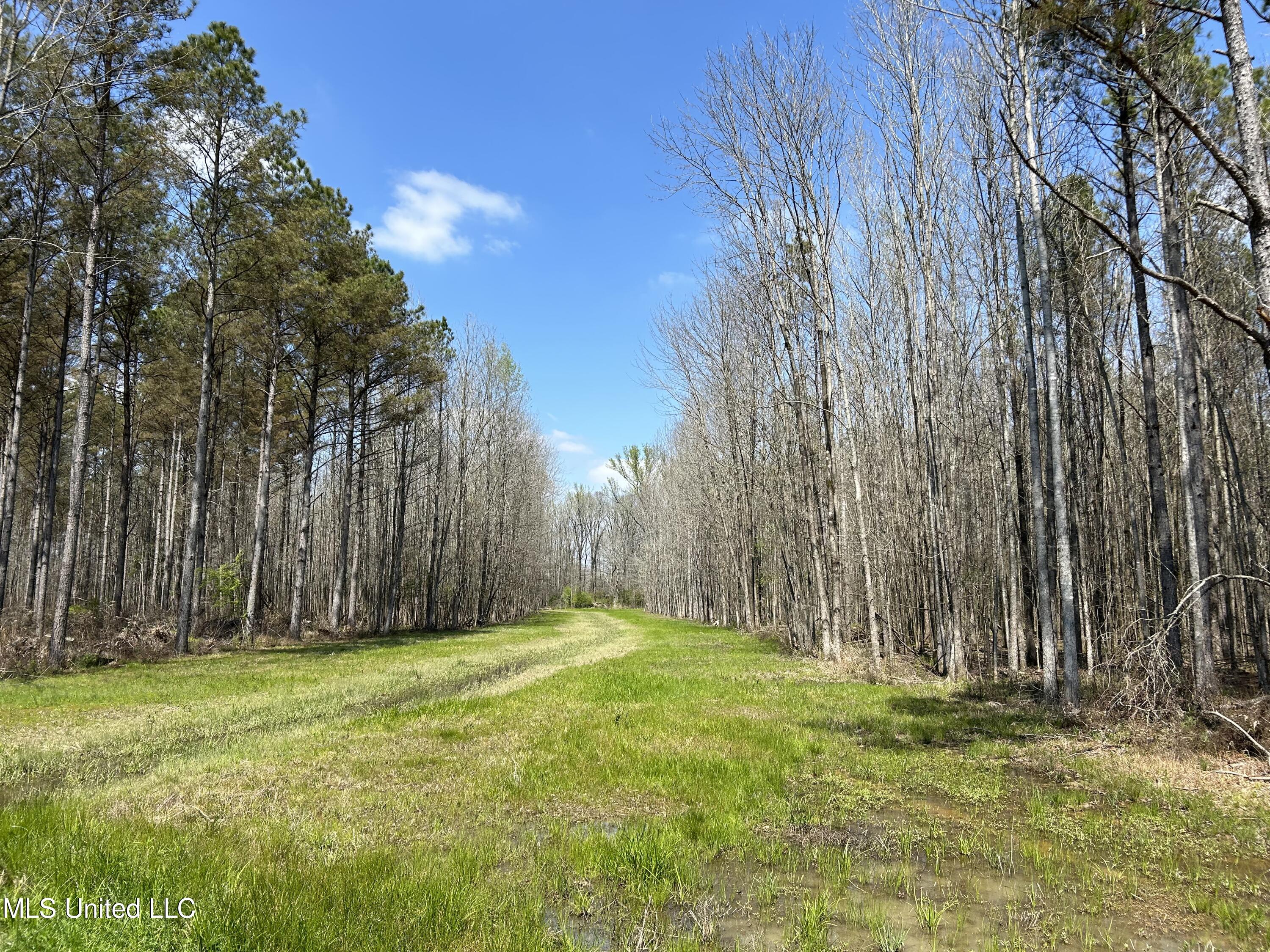 Ms-8, Calhoun City, Mississippi image 30