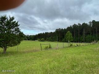 2208 Bend Road, Coldwater, Mississippi image 20