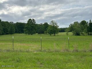 2208 Bend Road, Coldwater, Mississippi image 17