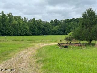 2208 Bend Road, Coldwater, Mississippi image 18