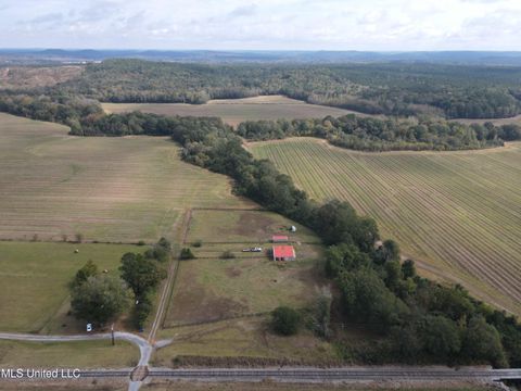 Vacant Land For Sale - U.s. Highway 51<br/> Montgomery County, Duck Hill, MS 38925
