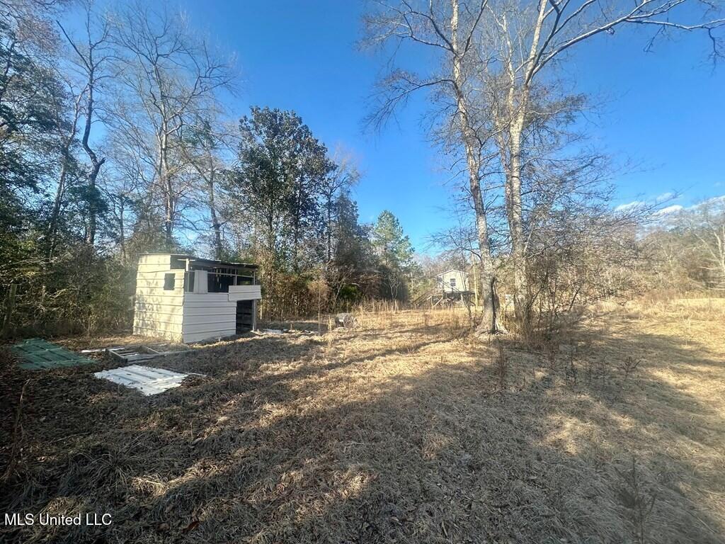 28 Old 49 Highway, Perkinston, Mississippi image 29