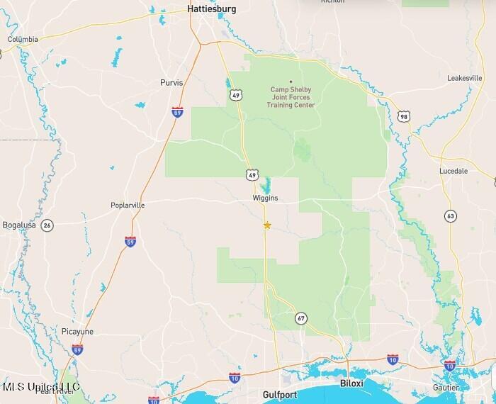 28 Old 49 Highway, Perkinston, Mississippi image 37
