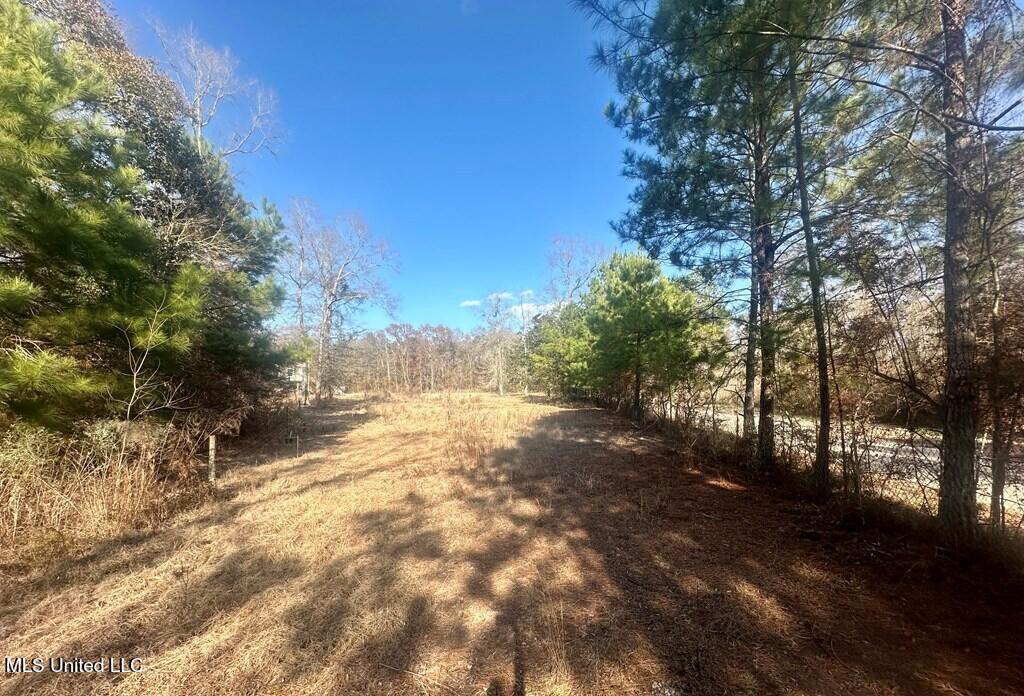 28 Old 49 Highway, Perkinston, Mississippi image 27