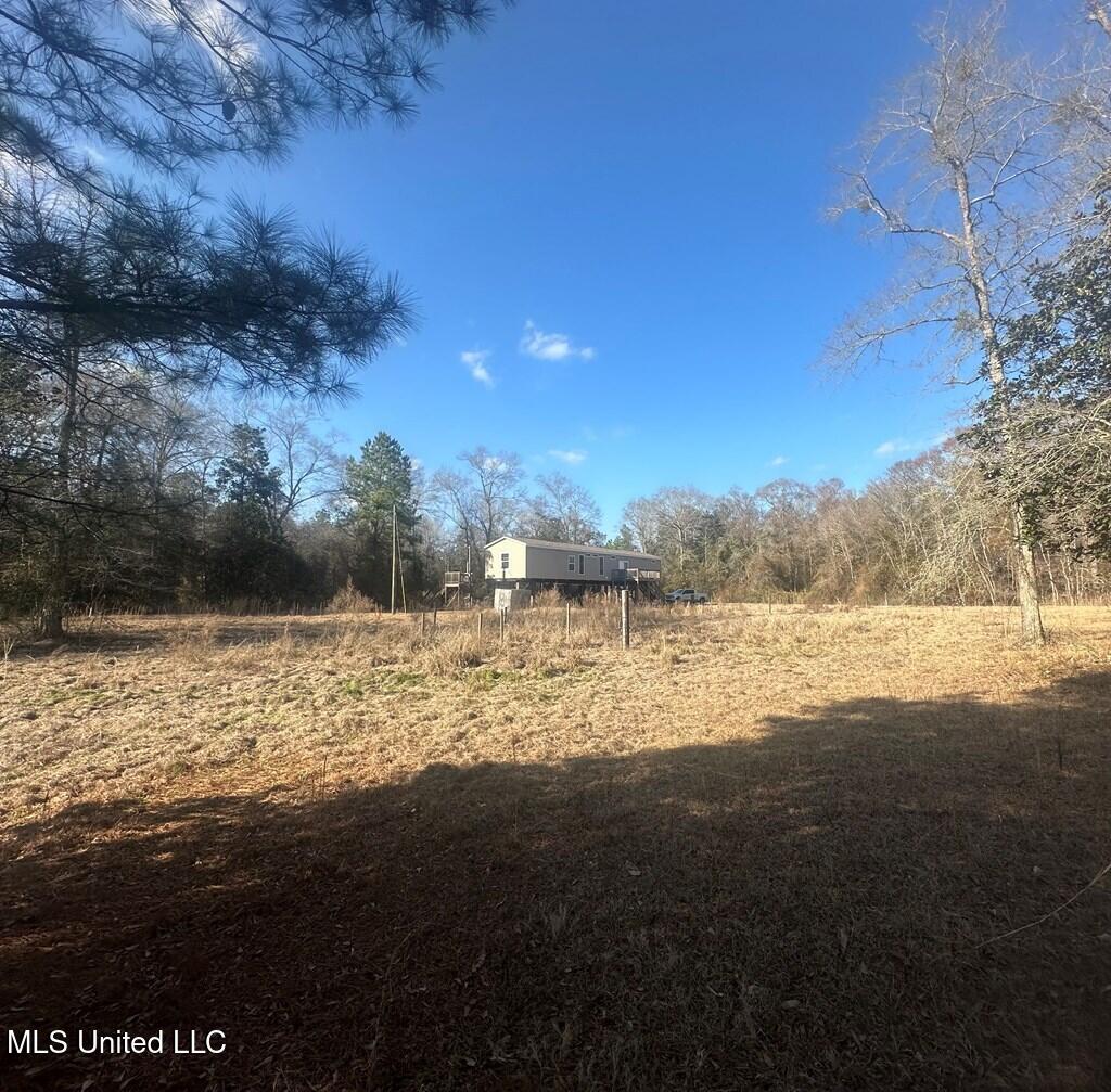 28 Old 49 Highway, Perkinston, Mississippi image 26