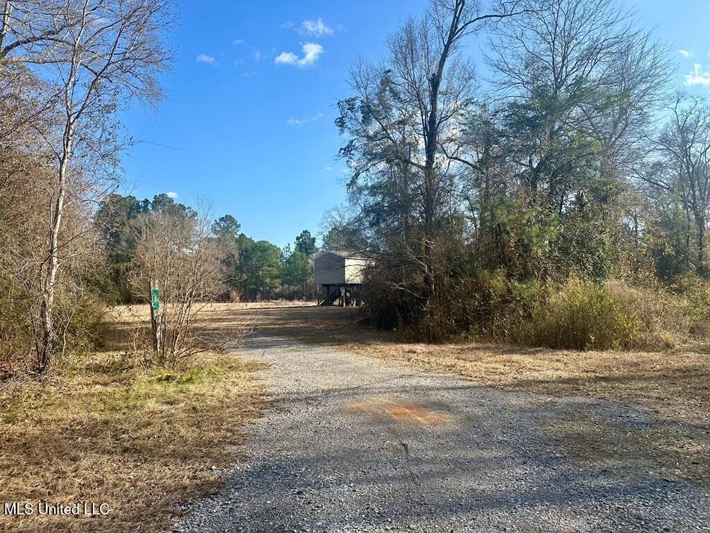 28 Old 49 Highway, Perkinston, Mississippi image 2