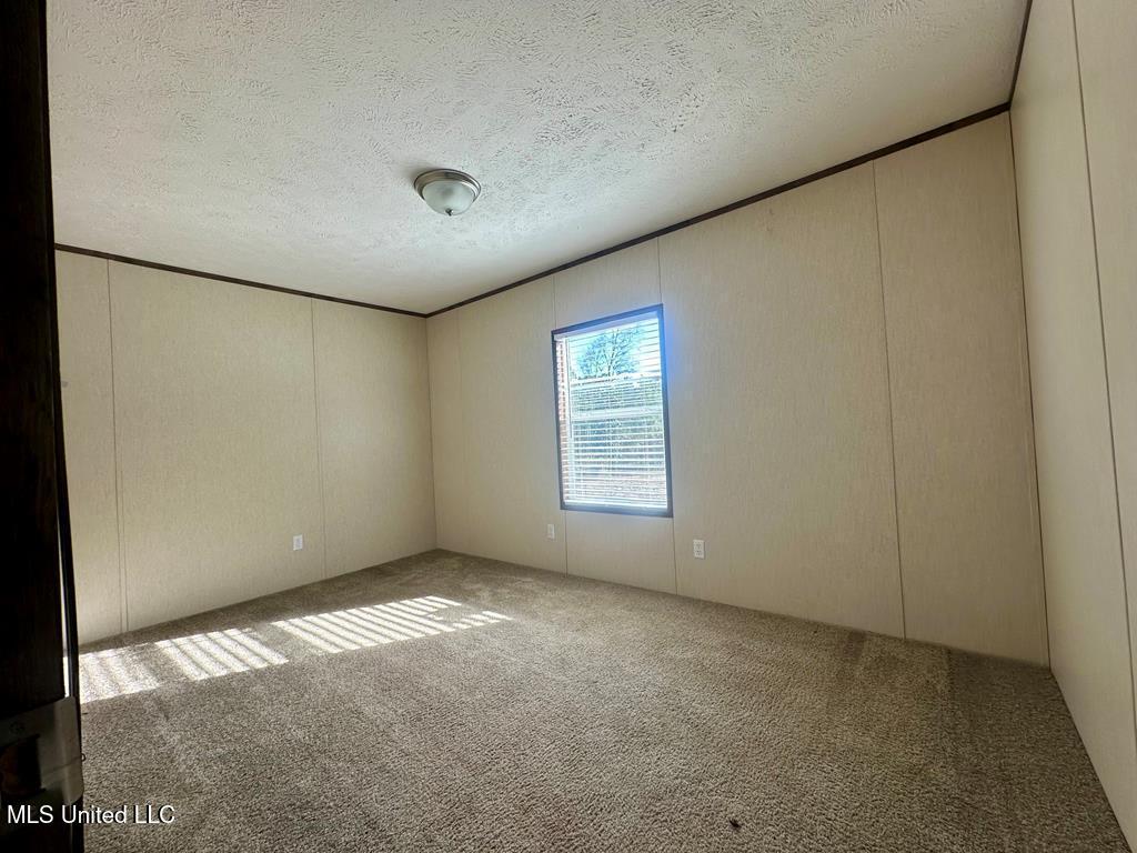 28 Old 49 Highway, Perkinston, Mississippi image 19