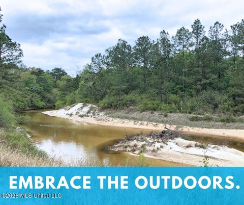 Vacant Land For Sale - Jericho Road<br/> Vancleave, MS 39565