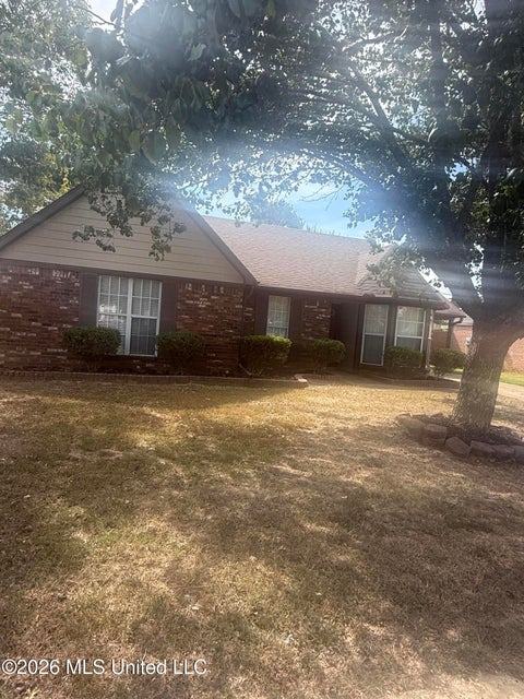 Homes For Sale - 10113 S Oak Run Drive<br/> Olive Branch, MS 38654