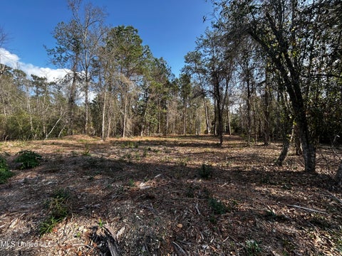 Vacant Land For Sale - Lakeside Drive<br/> Carriere, MS 39426