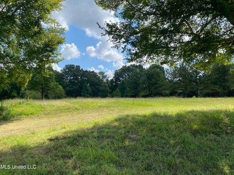 Vacant Land For Sale - 6826 Payne Lane<br/> Olive Branch, MS 38654