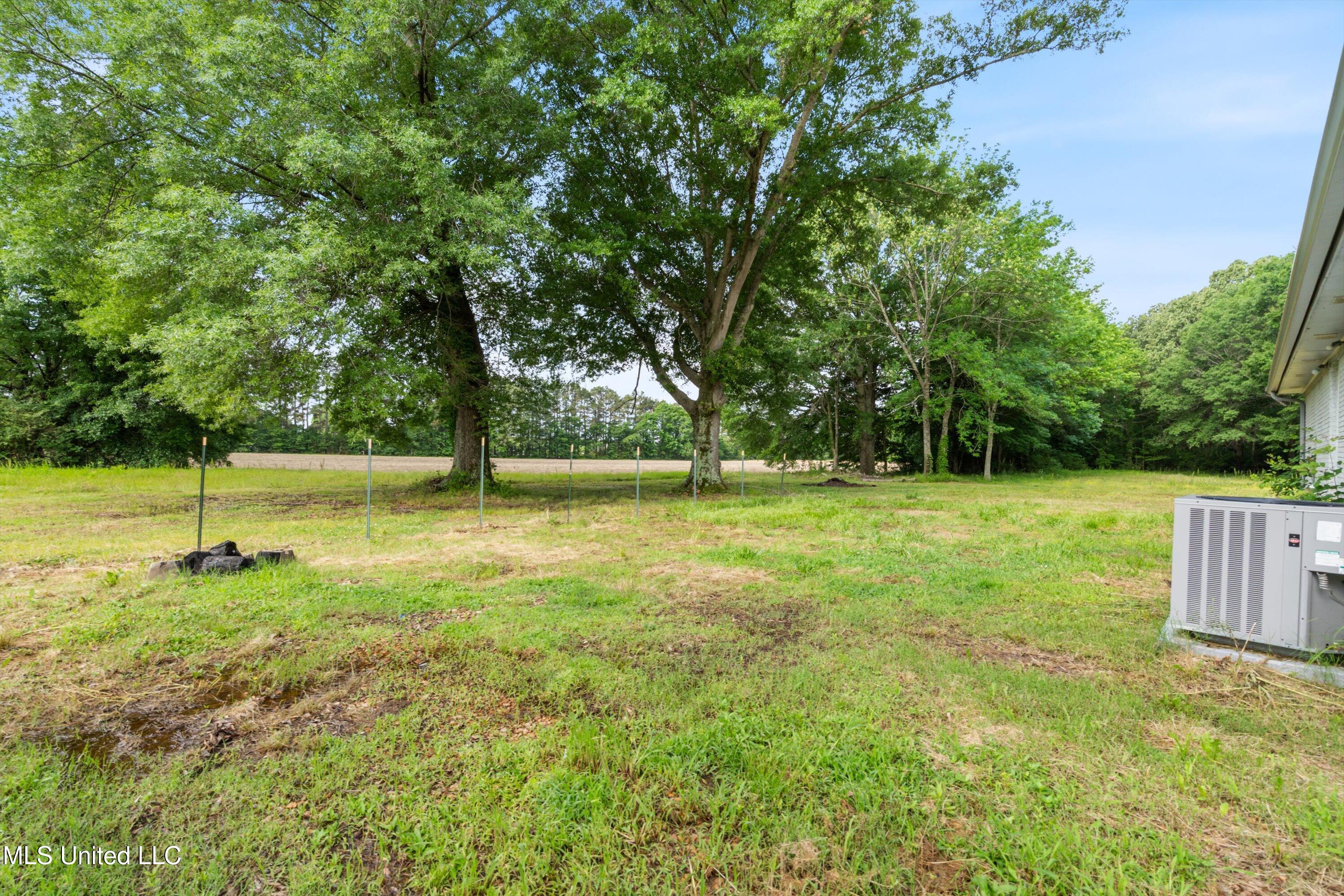 2363 Grass Pond Road, Hernando, Mississippi image 19